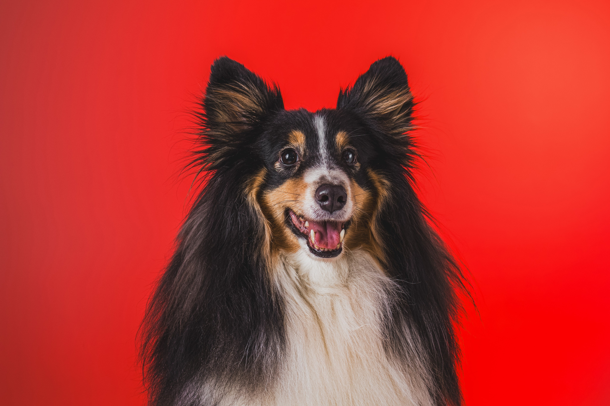 Воркшоп по импульсному свету