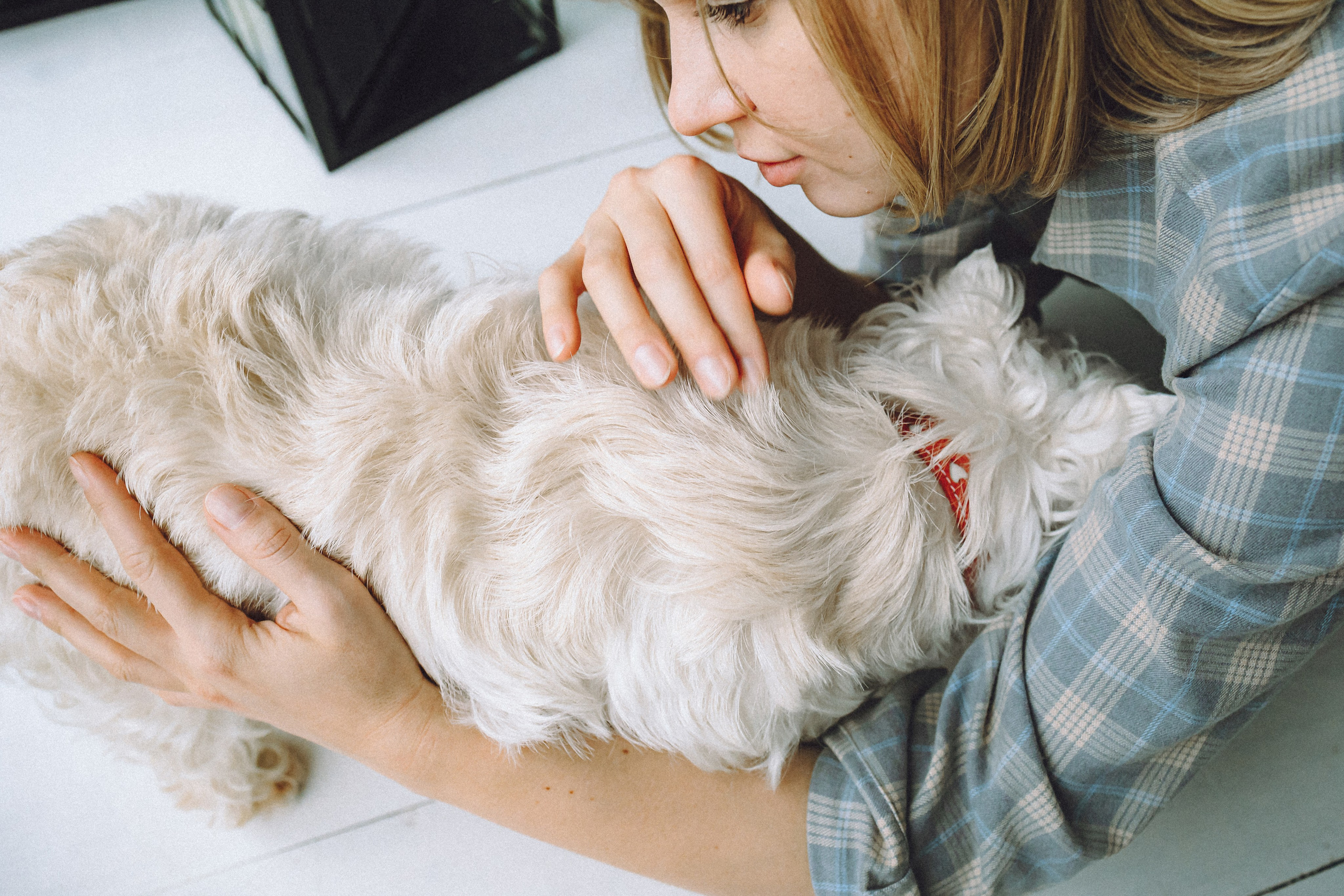 Вика, Глеб и Тори