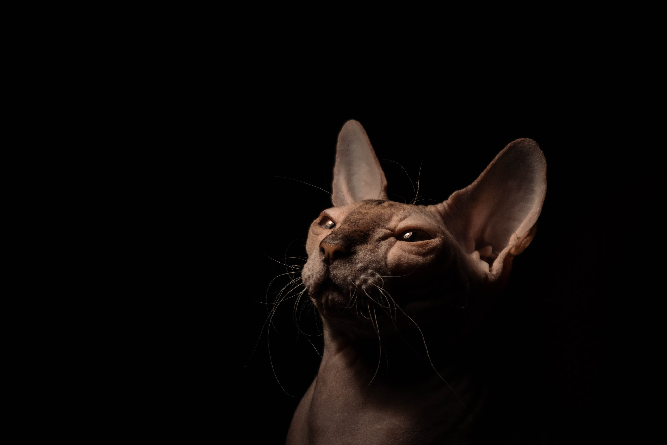 Без людей. Фотограф Крутой Максим