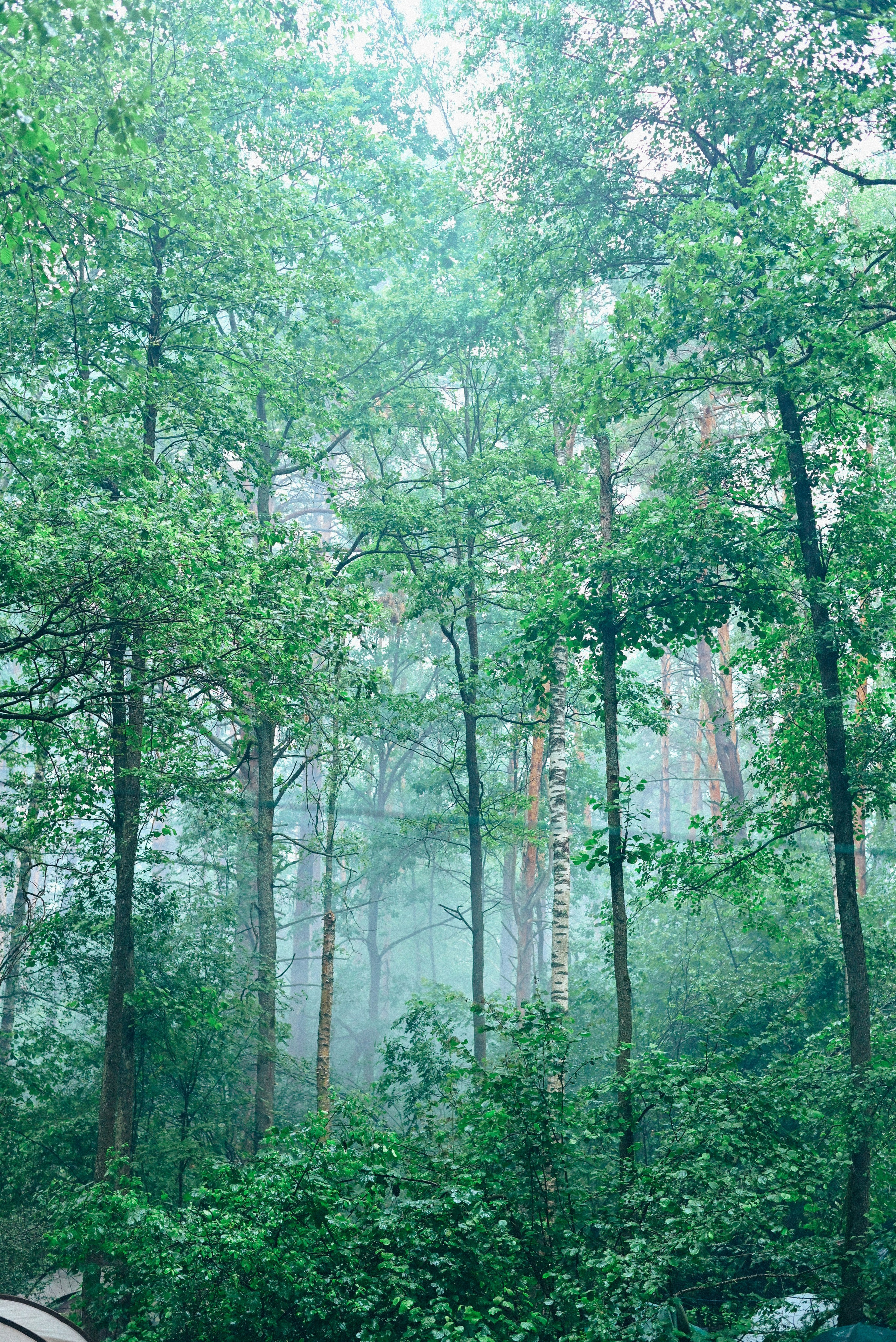 Бессонница 2025. Элька Мурзина