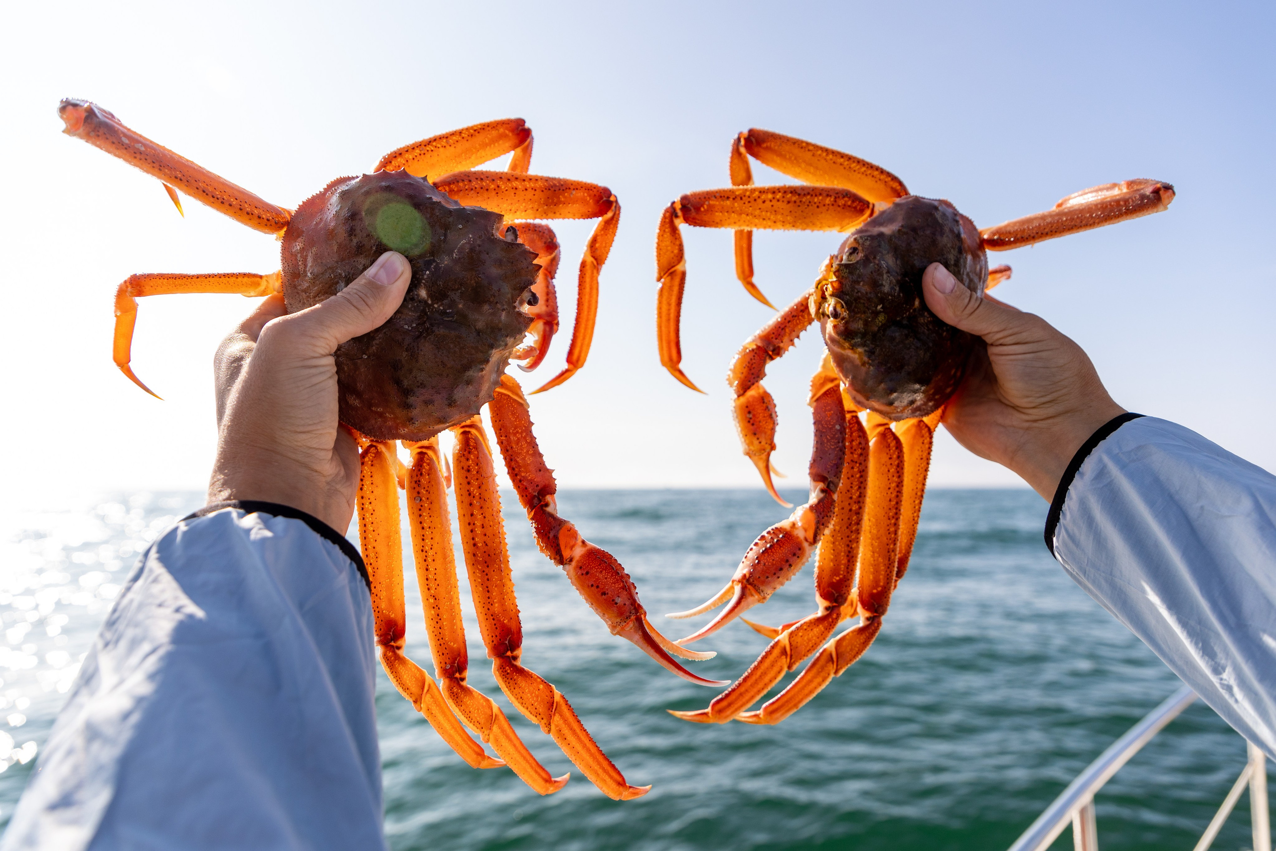 Крабовое сафари + мыс Маячный. Время Камчатки: чтобы найти свой путь, нужно скорость умножить на время