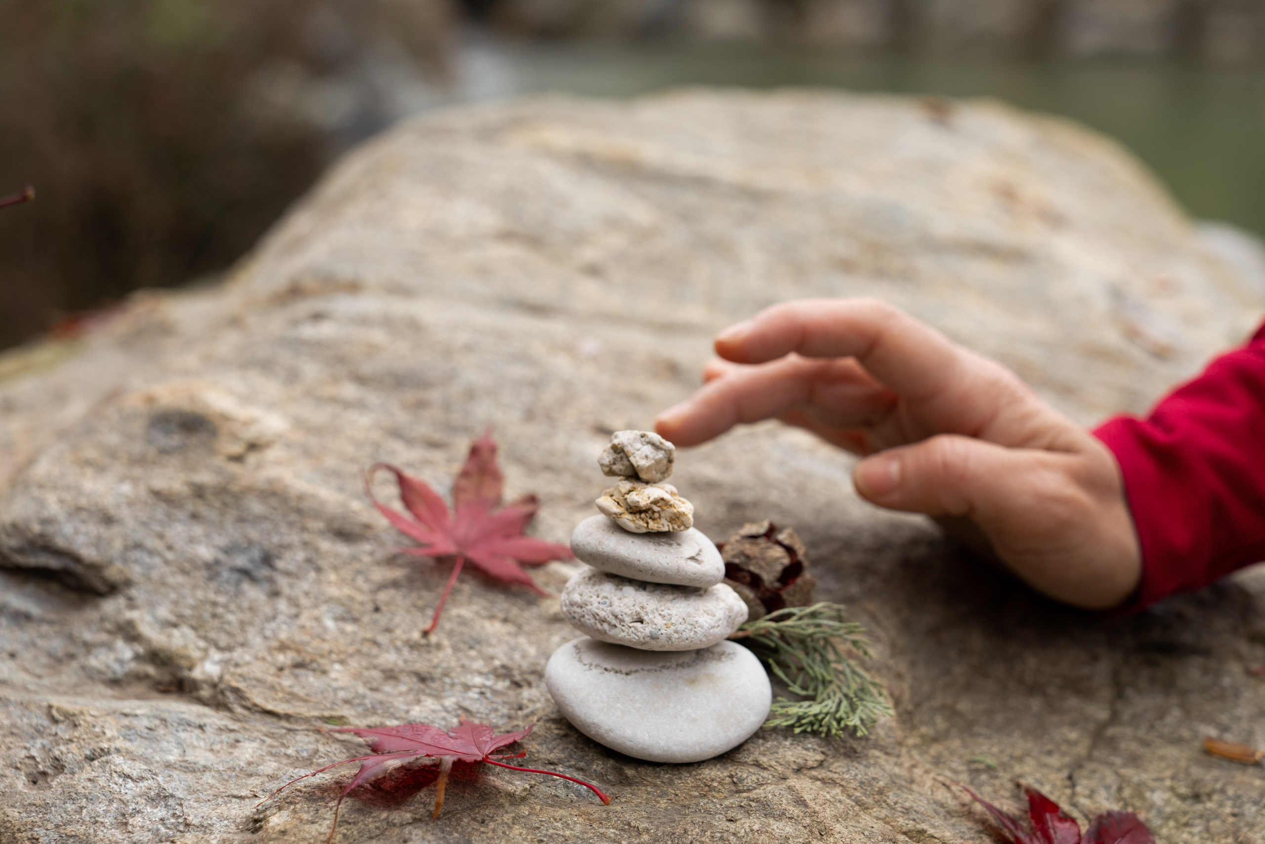 Фотопрогулки (Галицкий, Чапаева и др). Анастасия Соломенная и Василиса Марченко Фотографы Краснодар
