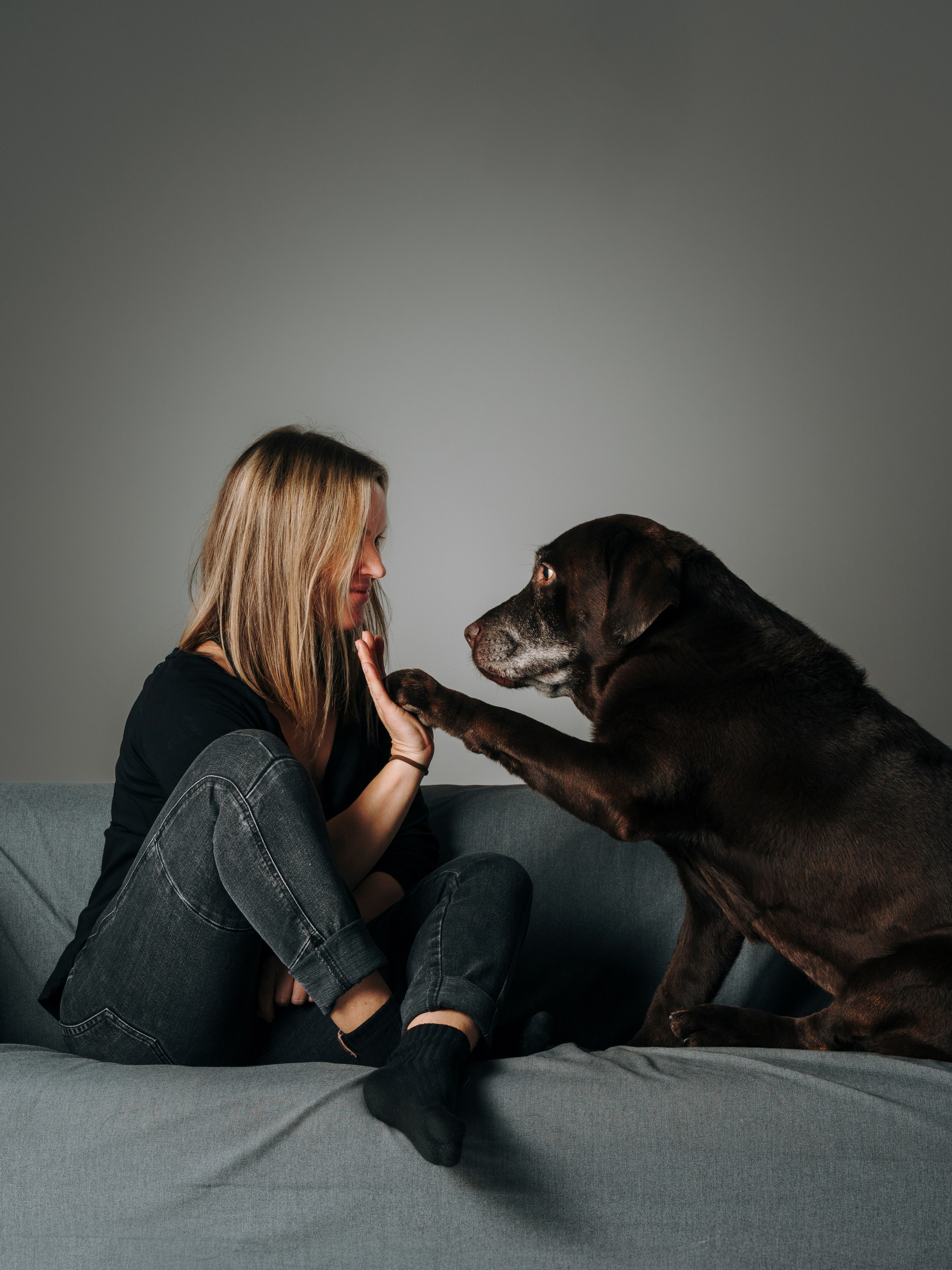 Оля и Шерлок. Семейный фотограф анималист Ананьева Мария — Москва