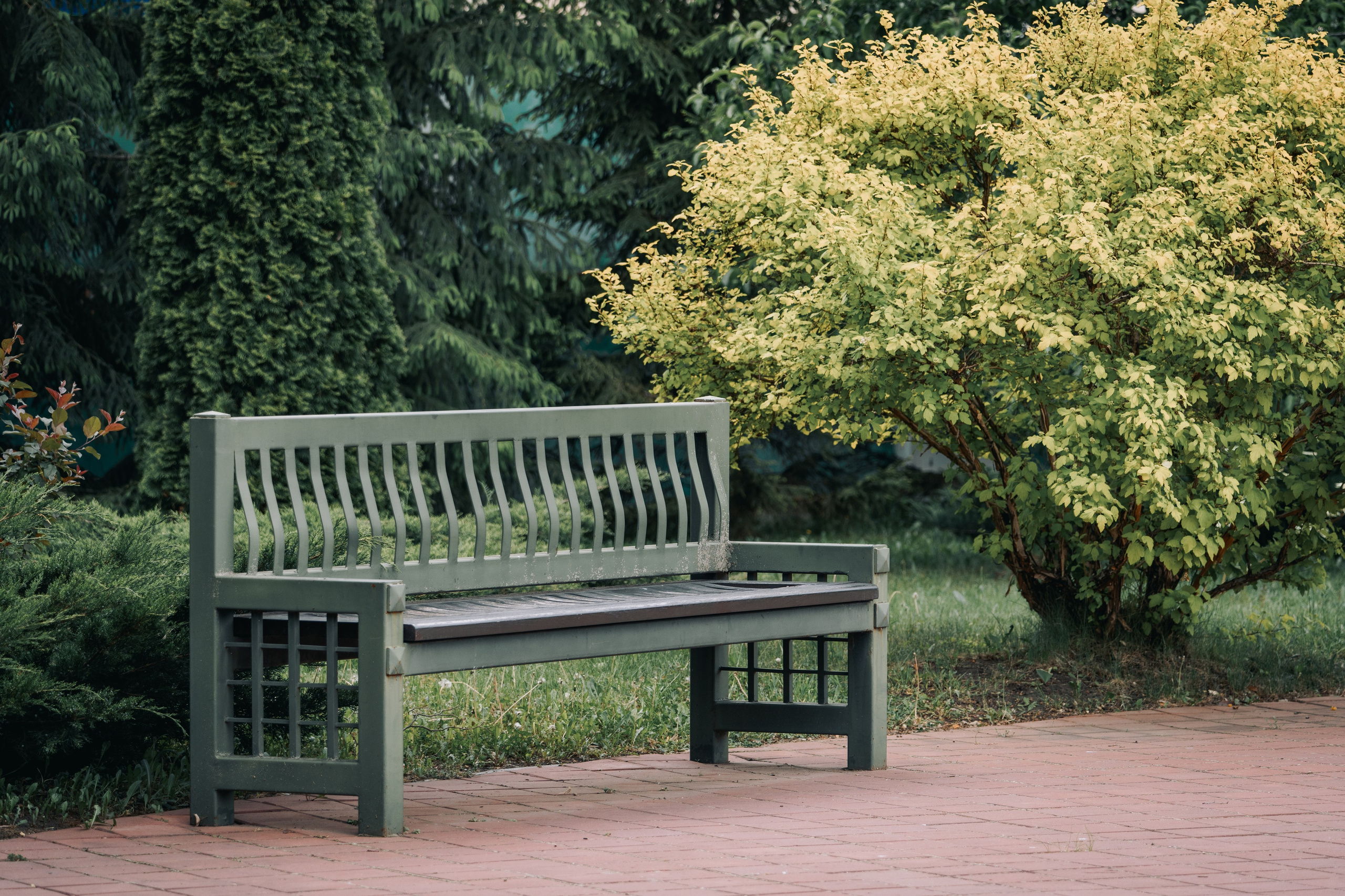 Места для съёмок. Фотограф Александр Решня