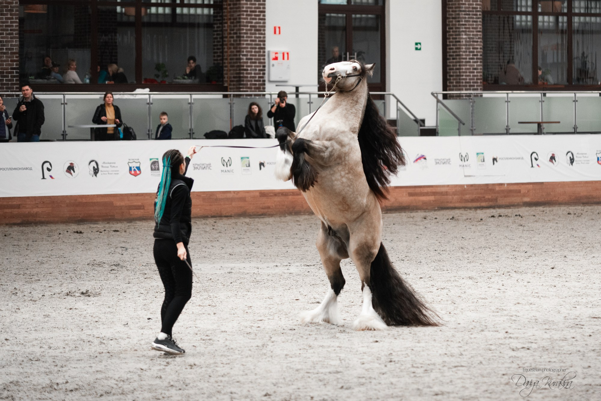 8-я международная выставка Конная Россия. Конный фотограф Куракина Дарья • Фотосессии с лошадьми