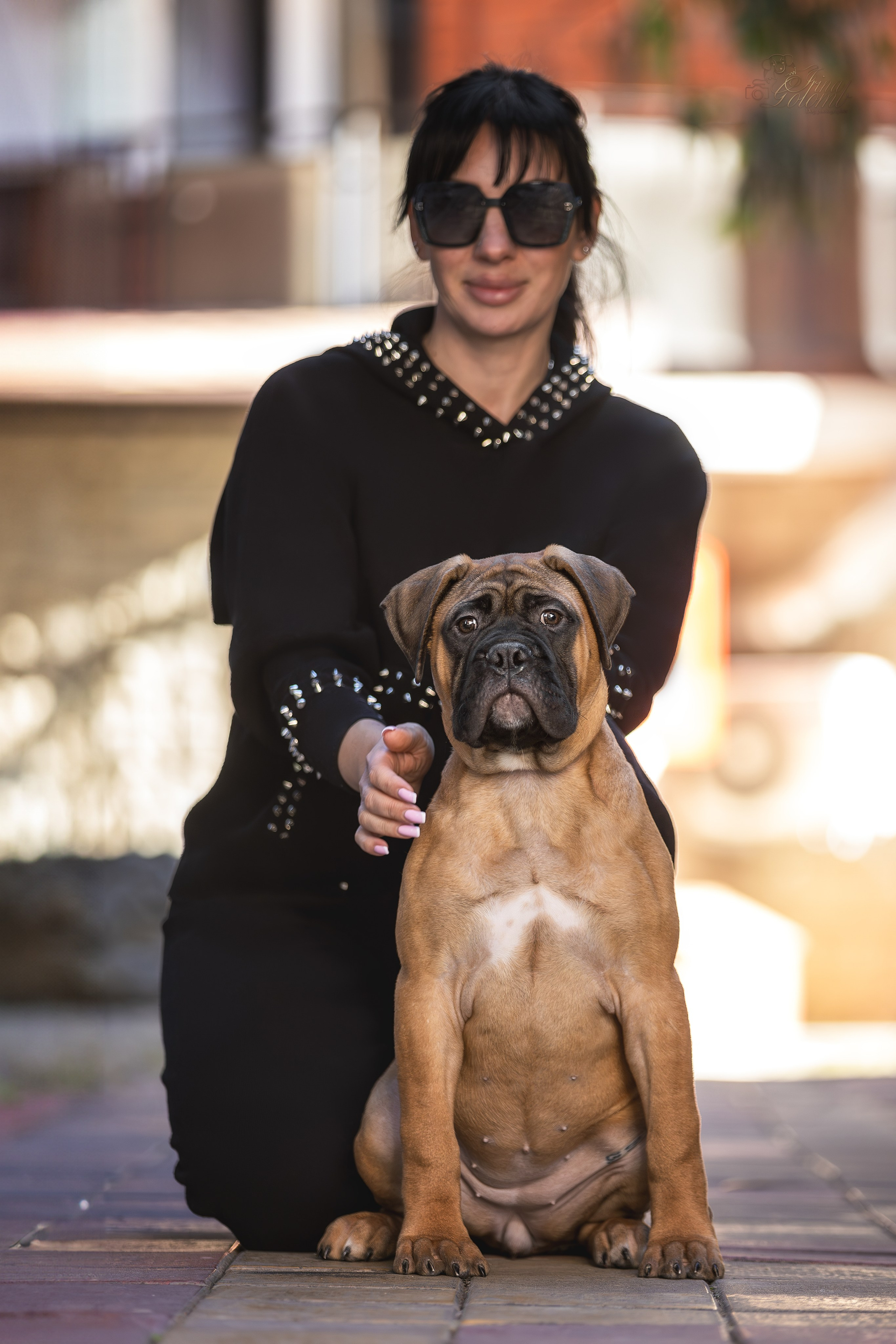 Выставка 25.02.2024. Ирина Голомб|Фотограф-анималист в  Сочи и Калининграде