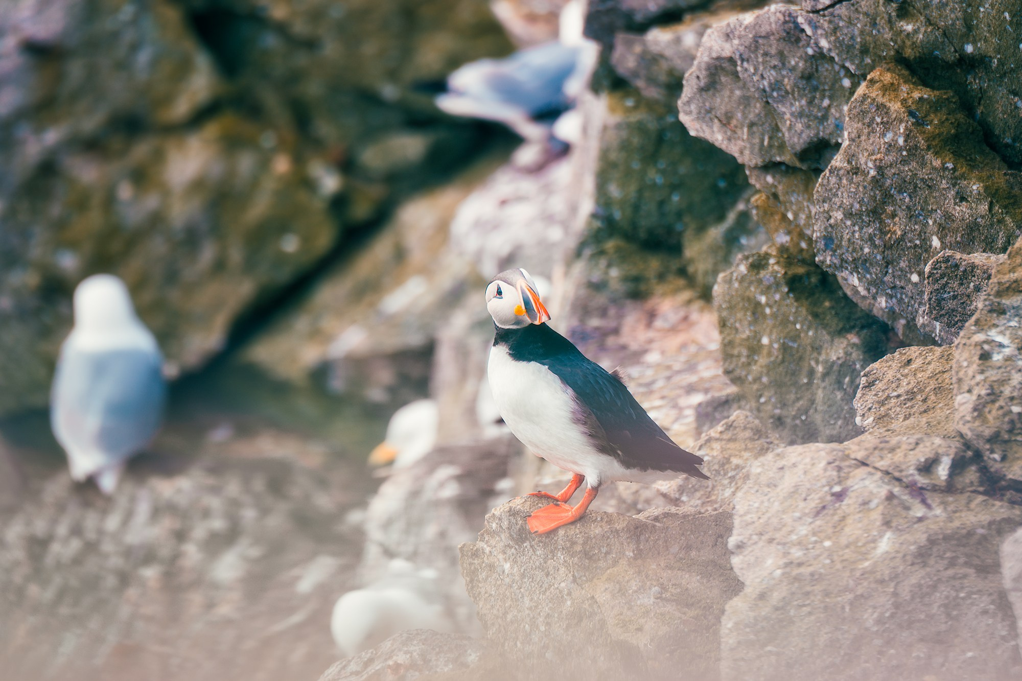 Арктика. Аэросъемка в Архангельске, Александр Ермолин