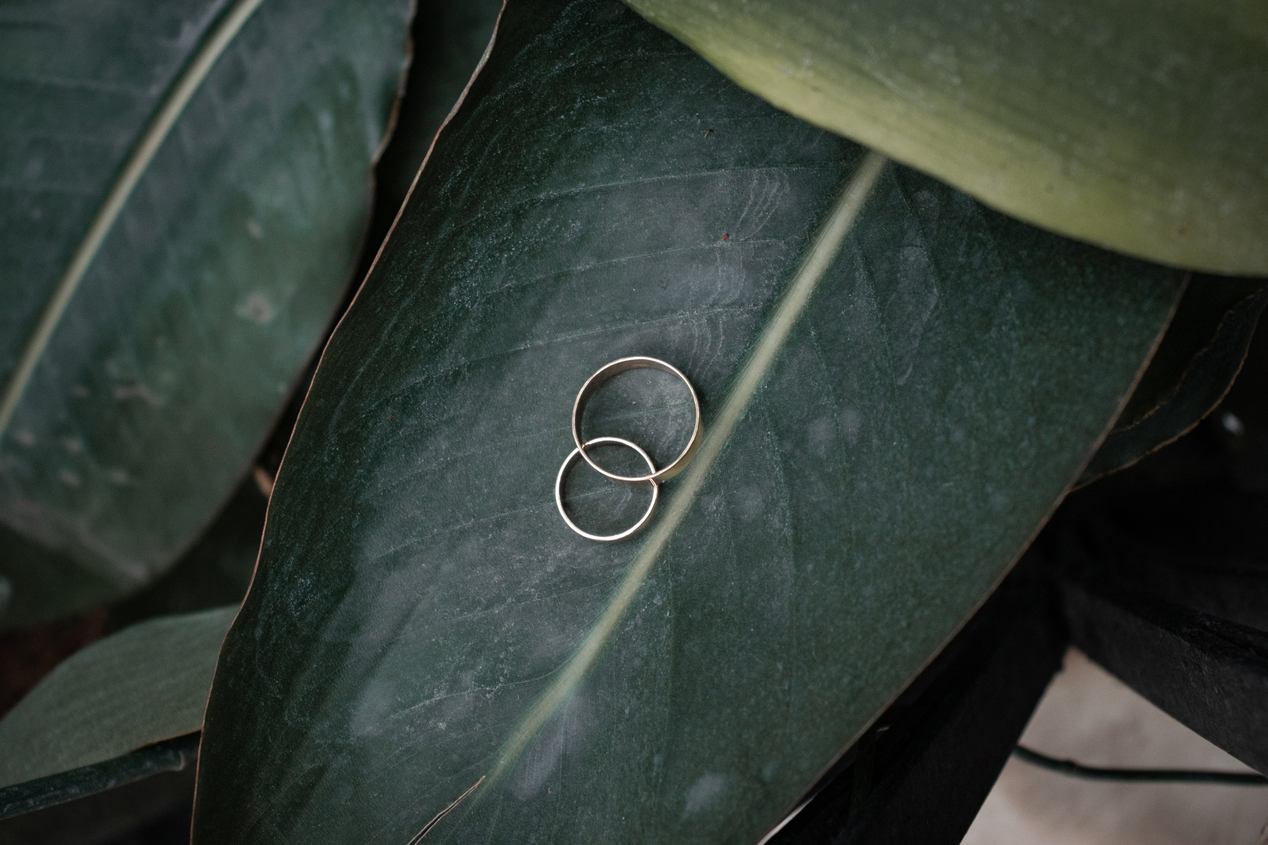 Свадебная фотосессия Томск. Свадебная фотосъёмка Томск. Фотограф в Томске Дарья Пучкина