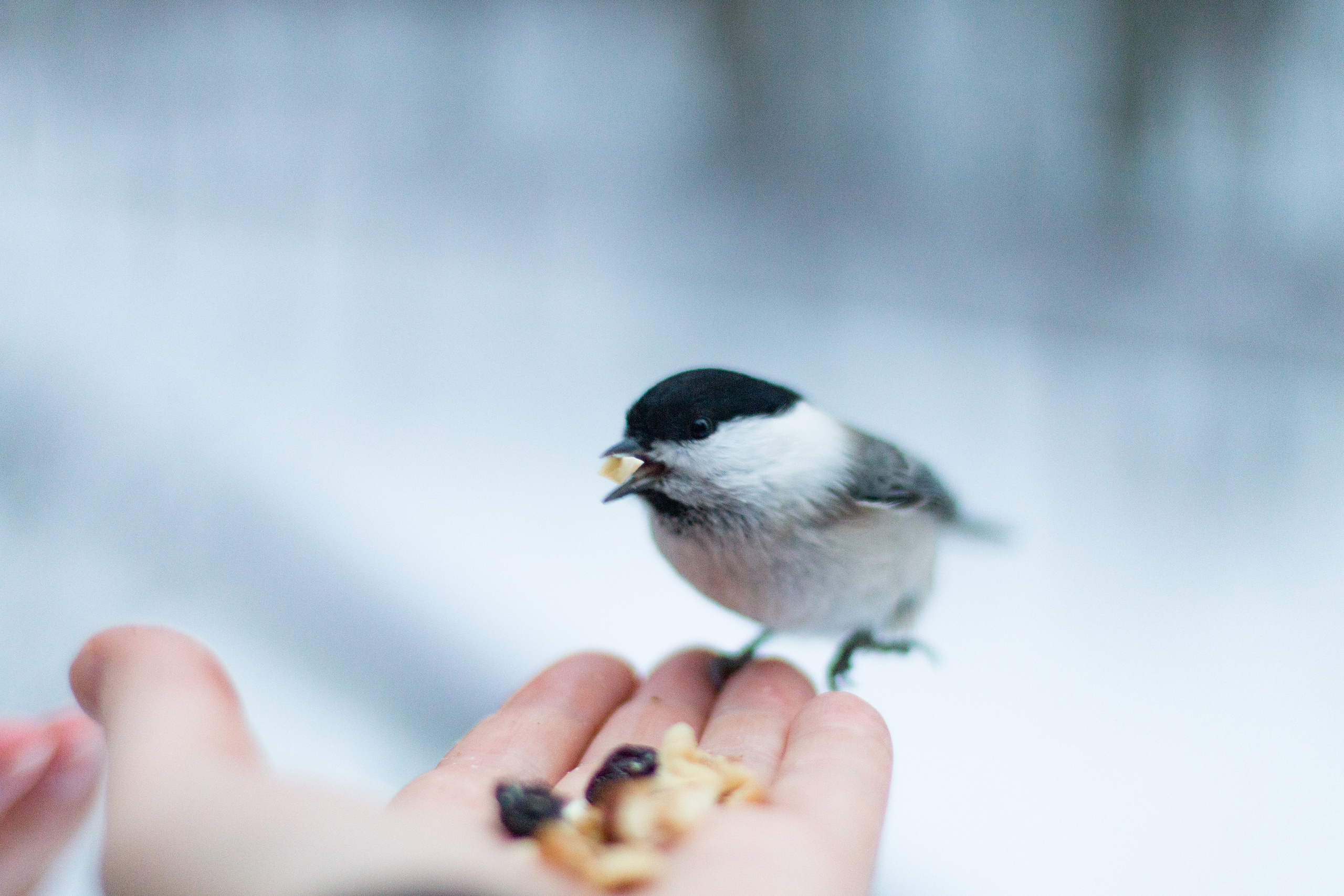 Русский север, Белое море, Архангельск. Фотограф в Сочи