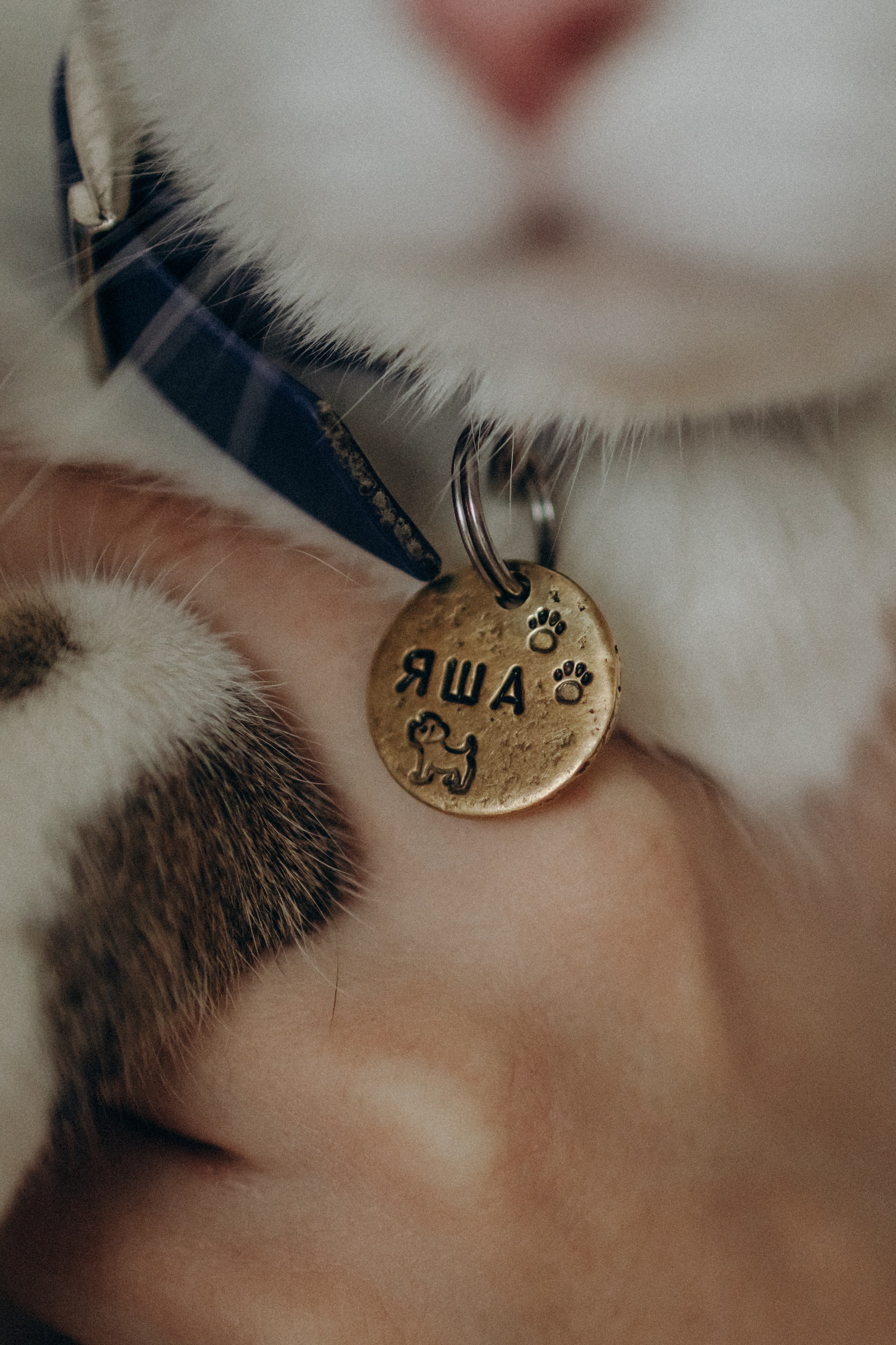 Ксюша и Яша. Фотораф — анималист Мария Шистка