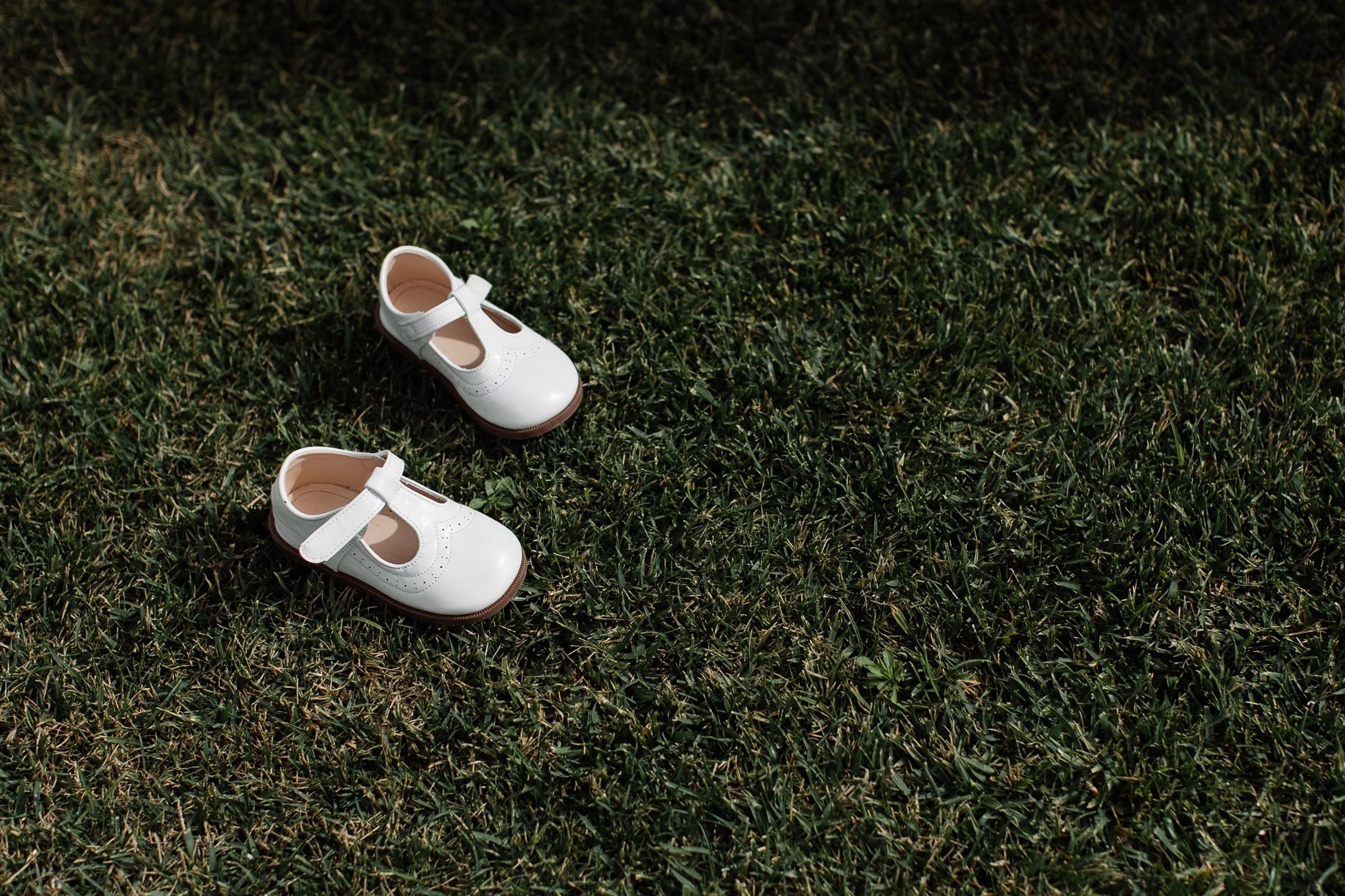 PLANT A TREE. Wedding photographer in Europe