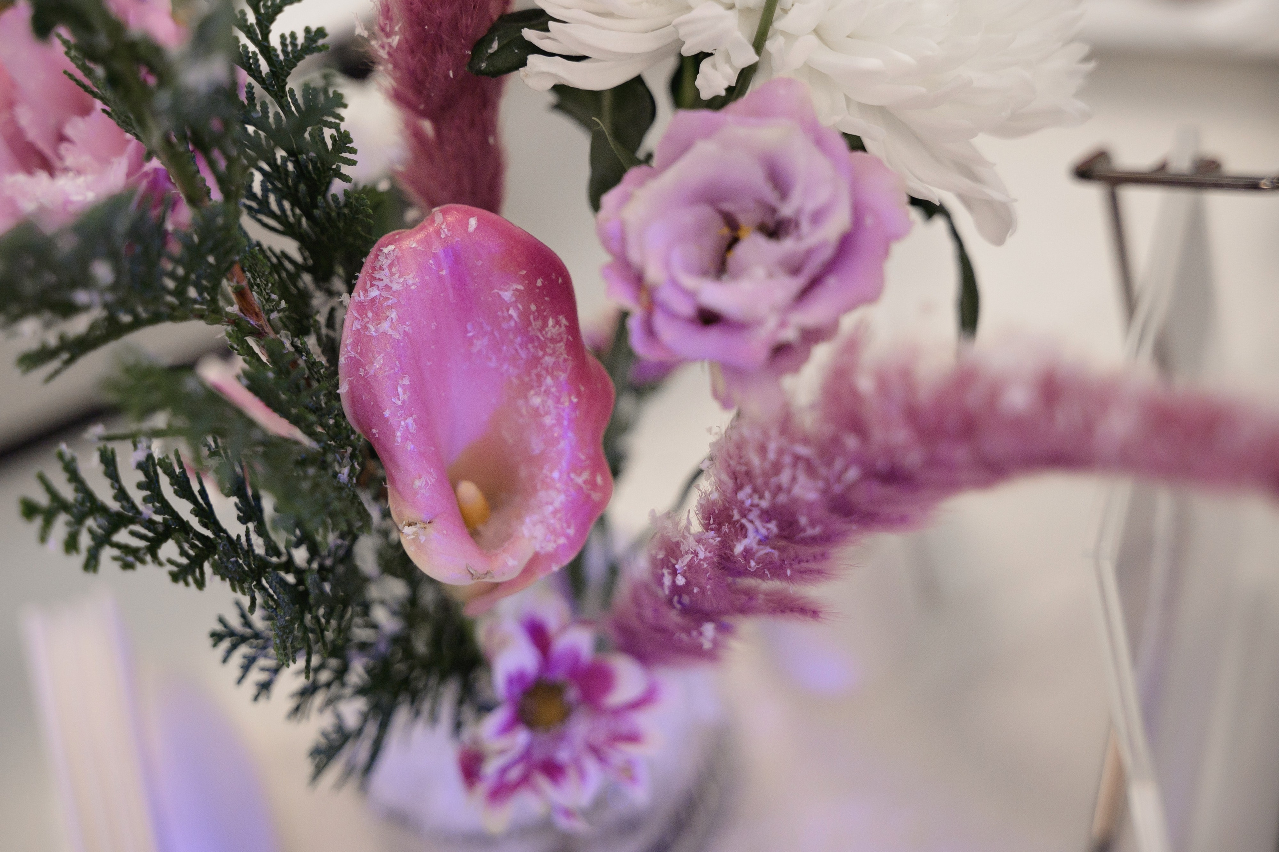 Павел & Анна. Свадебный фотограф в Новосибирске Алена Цизман