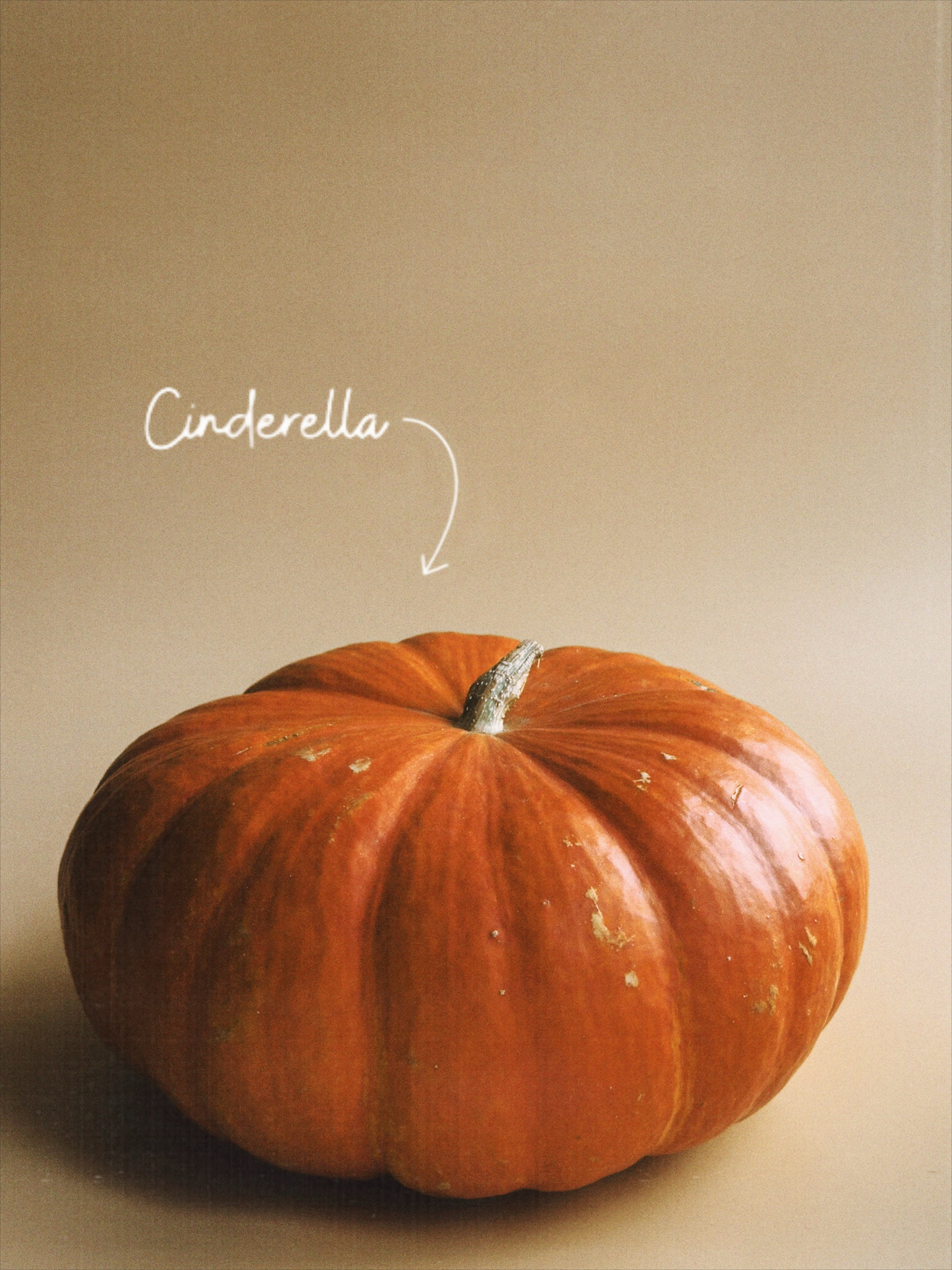 Предметная съёмка. Чувственный мобильный фотограф в Казани и Сочи Дьяченко Дарья