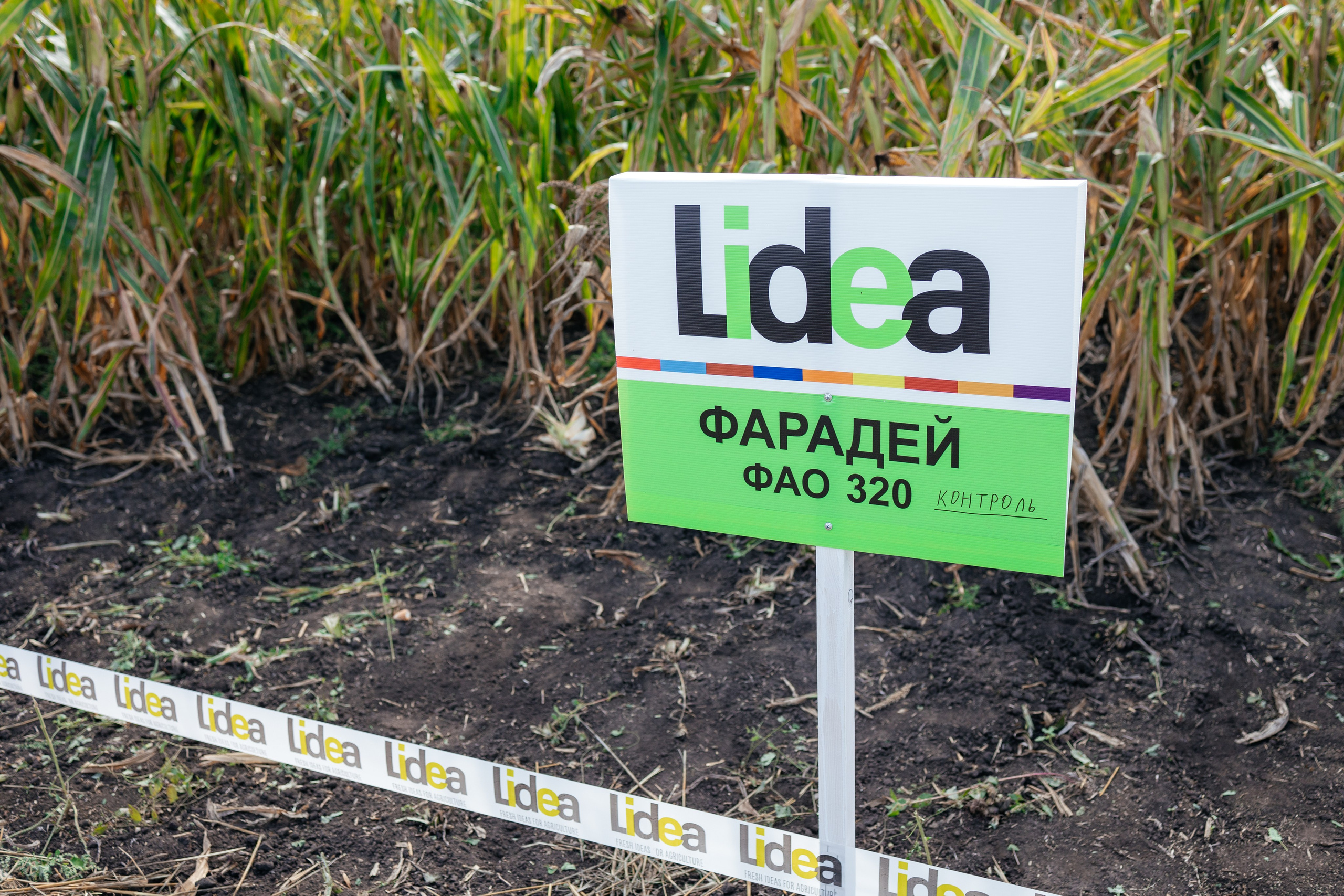 День поля. Фотограф Крохин Олег