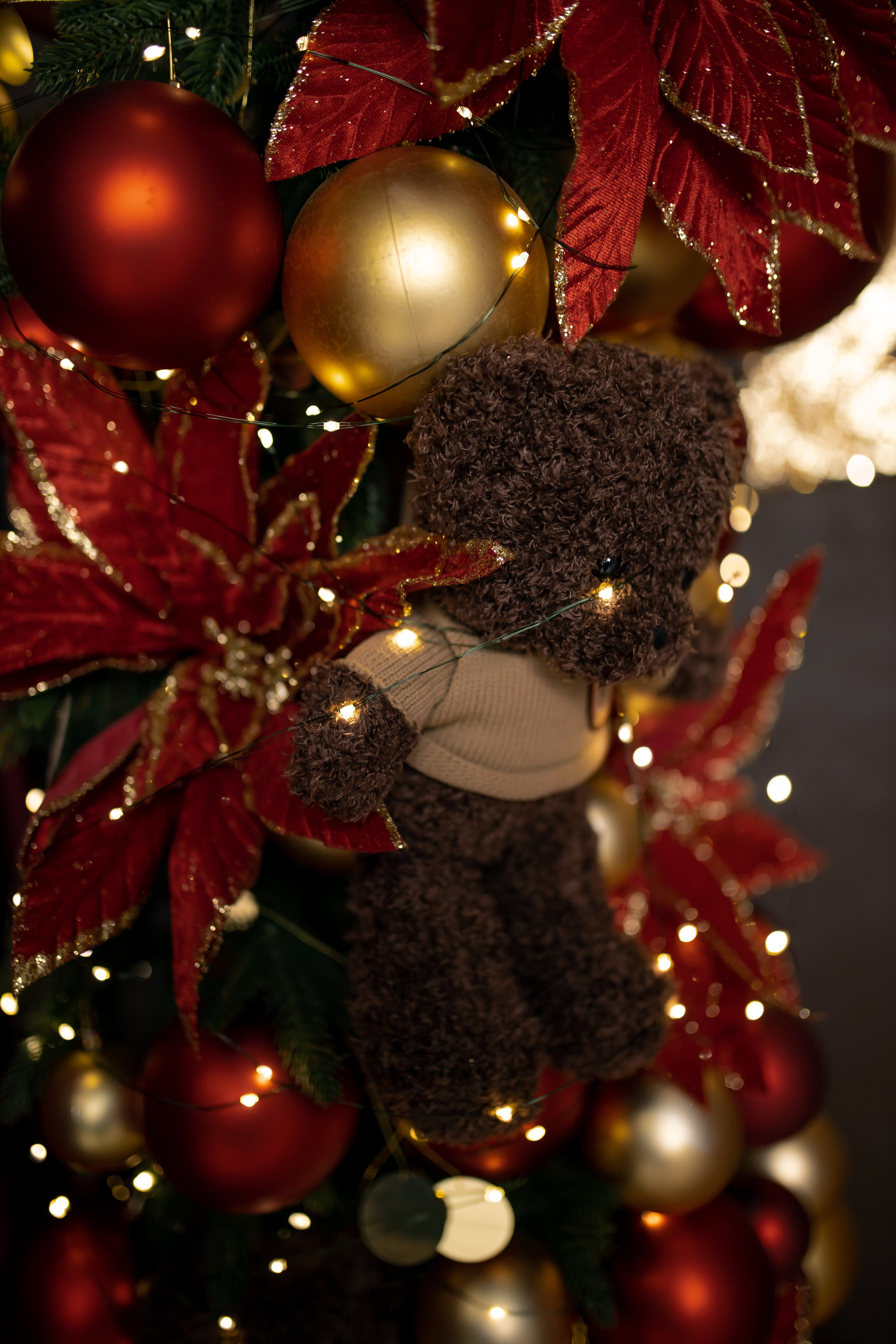 Детский зал. Семейный и детский фотограф в Туапсинском районе Кузьмичёва Светлана