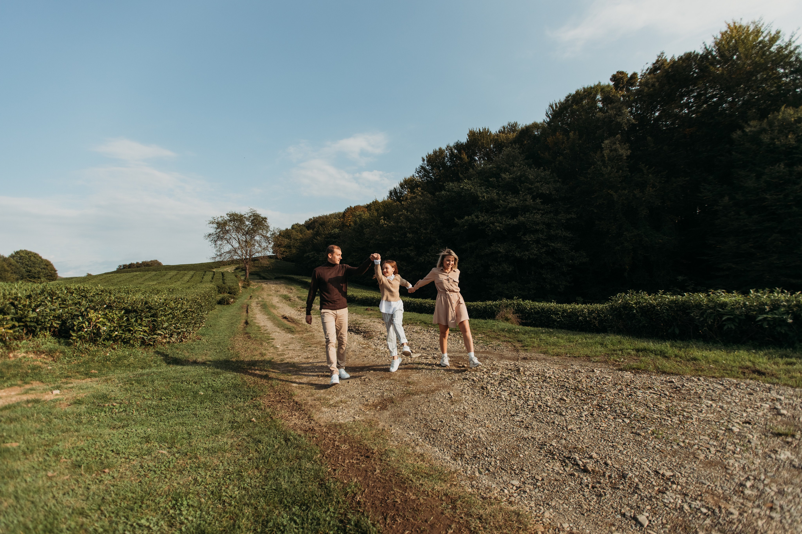 Чайные плантации мацеста. Фотограф Сочи Татьяна Зорина