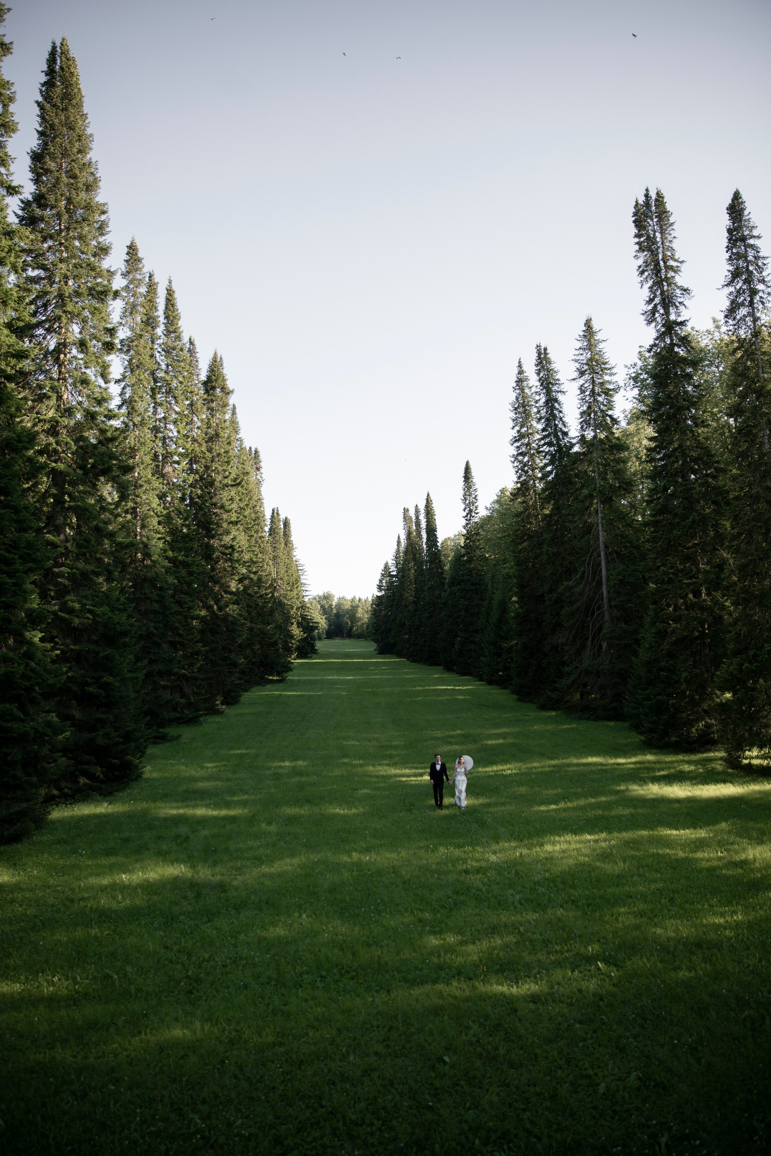 Анастасия и Иван. Свадебный и портретный фотограф