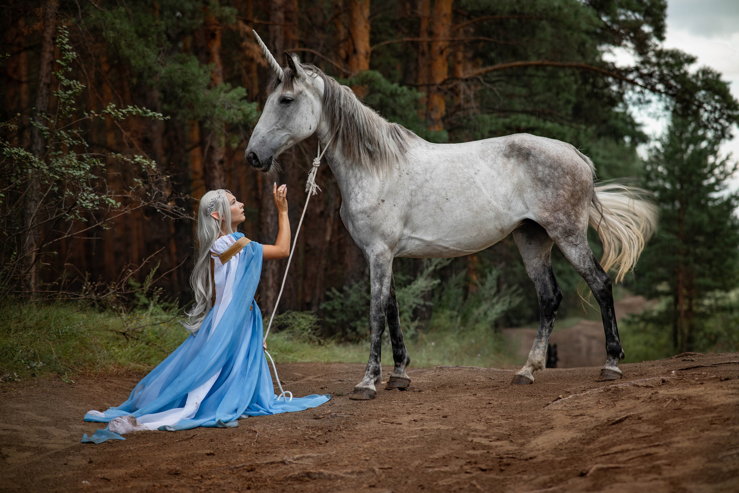 Лесной эльф. Семейный и свадебный фотограф в Абакане Юлия Су