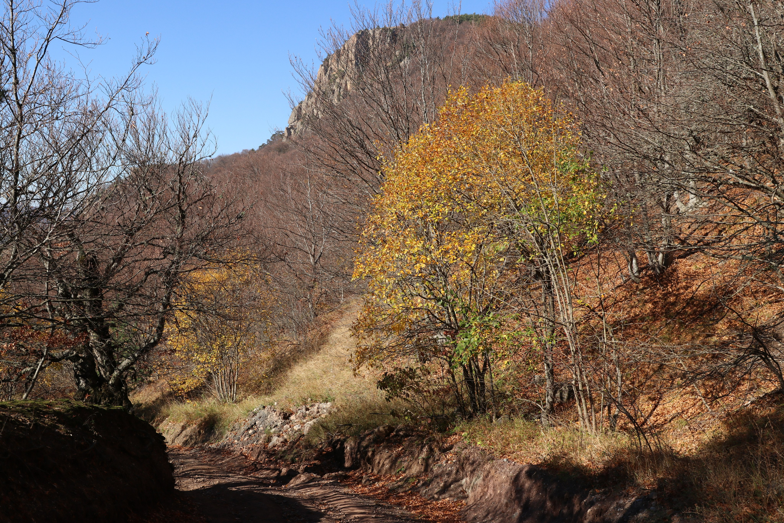 Крым. ЮБК (Гурзуф, Судак и их окрестности). Ноябрь 2023. Путешественник-фотограф из Санкт-Петербурга Татьяна Свистулина