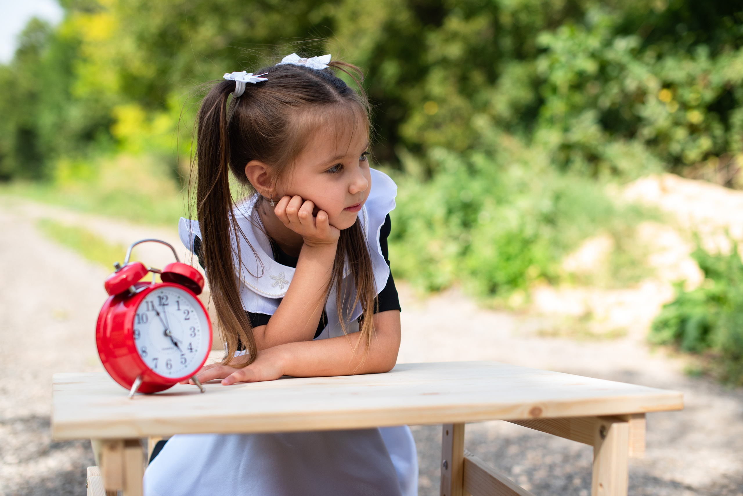 Здравствуй, школа!. Школьный фотограф