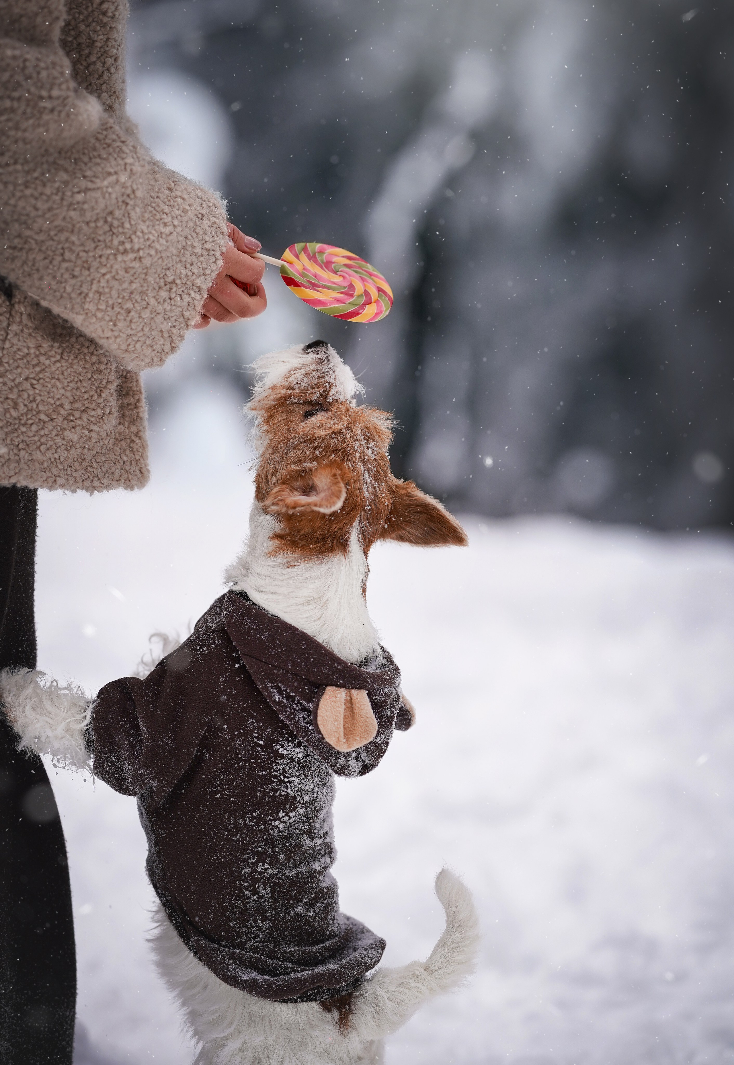 Люба и Тося. Фотограф-анималист в Санкт-Петербурге Яна Мартынова