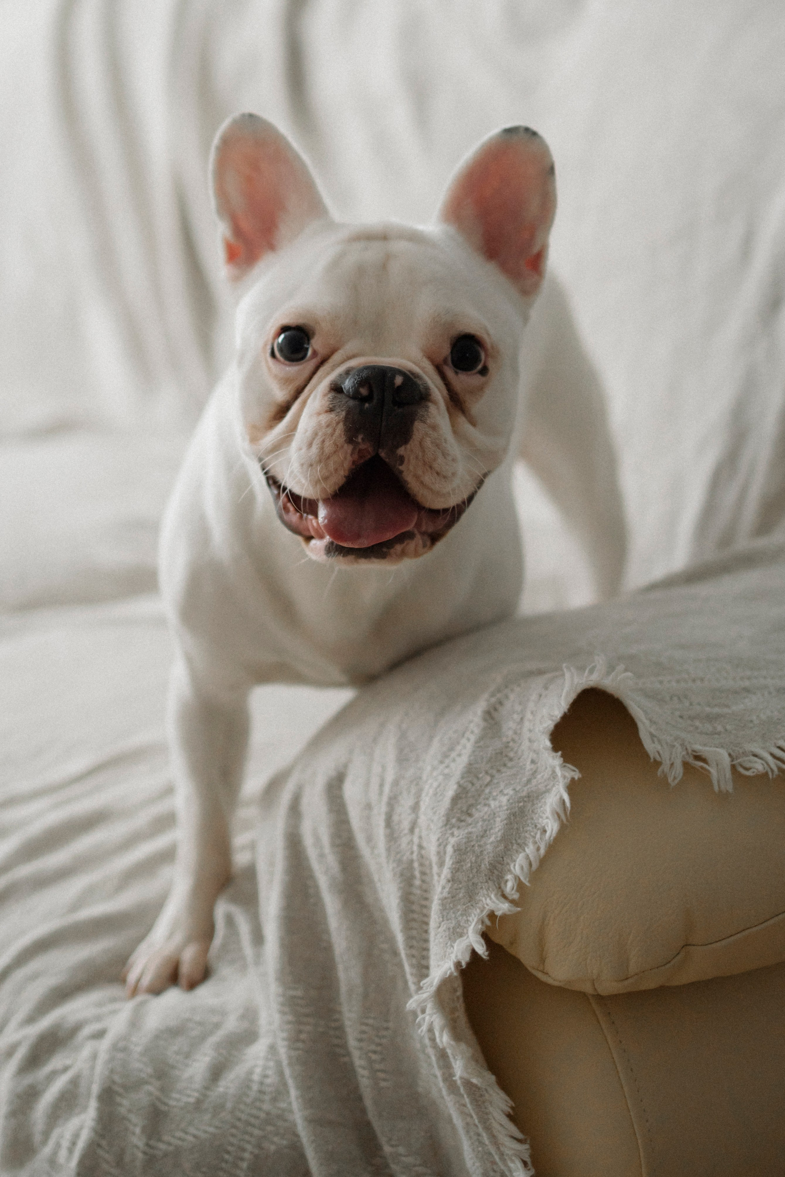 L&G. Свадебный фотограф Лиза Макатович Беларусь Минск