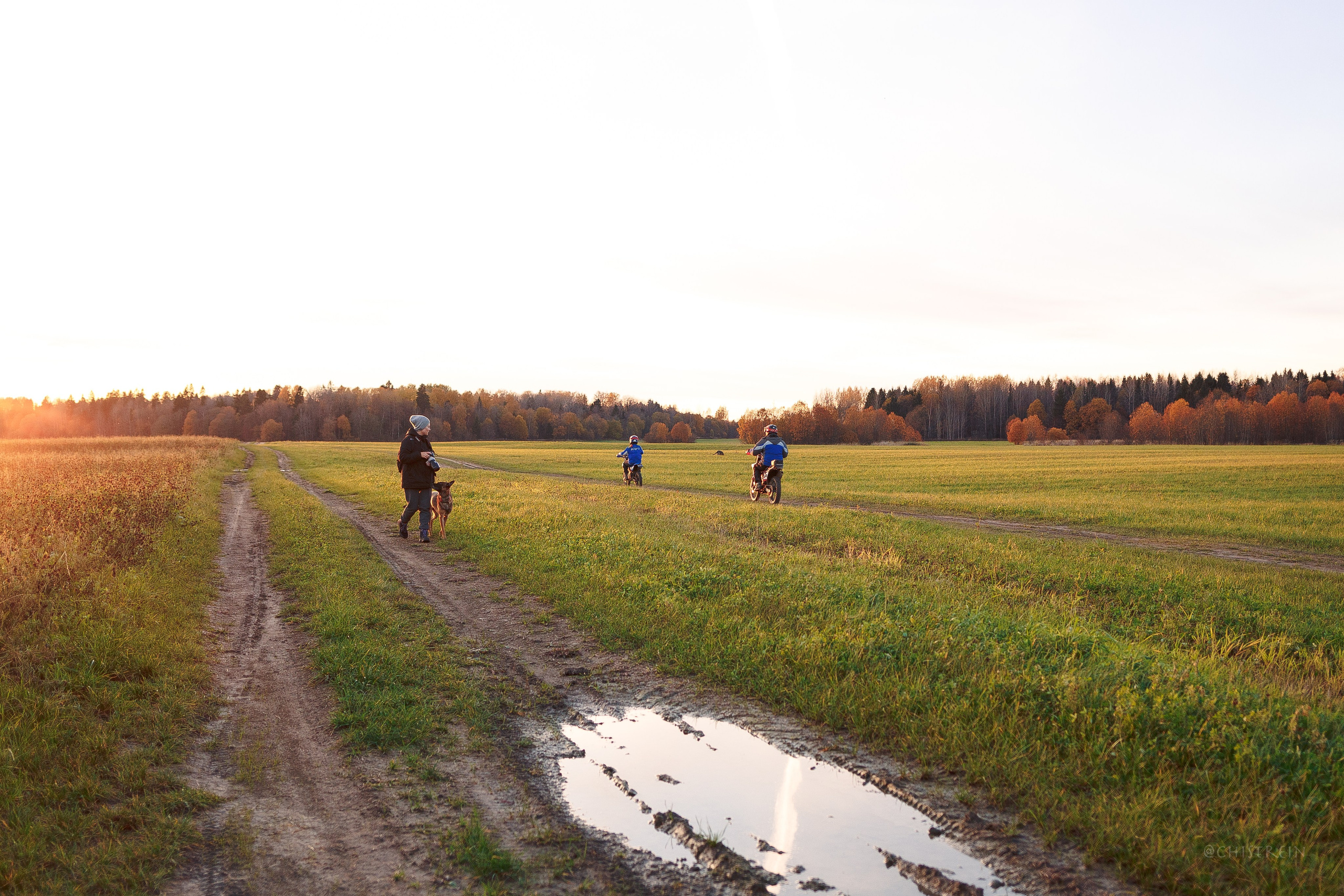 Октябрьский закат в полях. Алина и Лео. Фотограф-анималист Наталия Чистюхина в г. Сосновый Бор и ЛО
