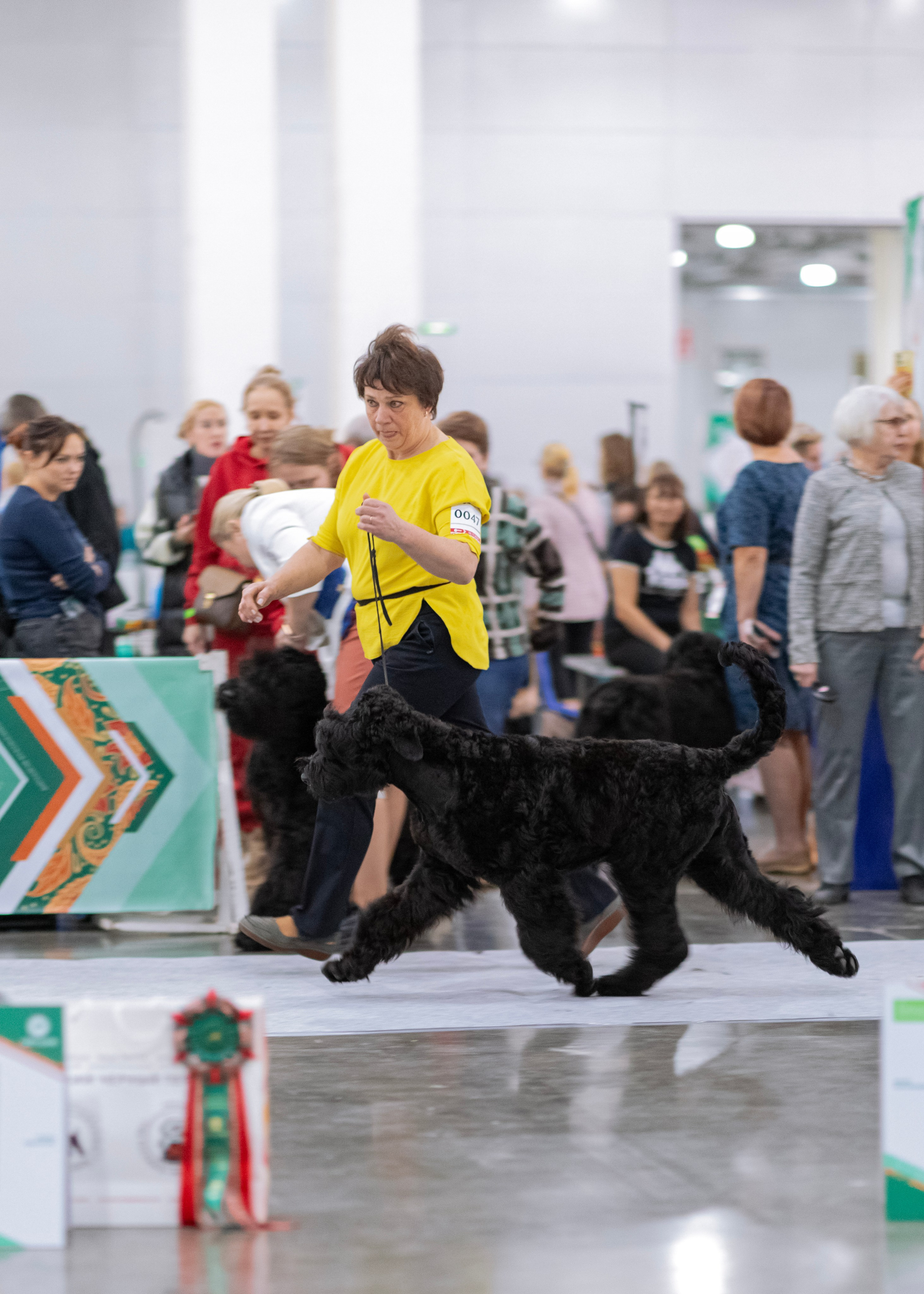 Евразия. Фотограф — анималист Татьяна Ли