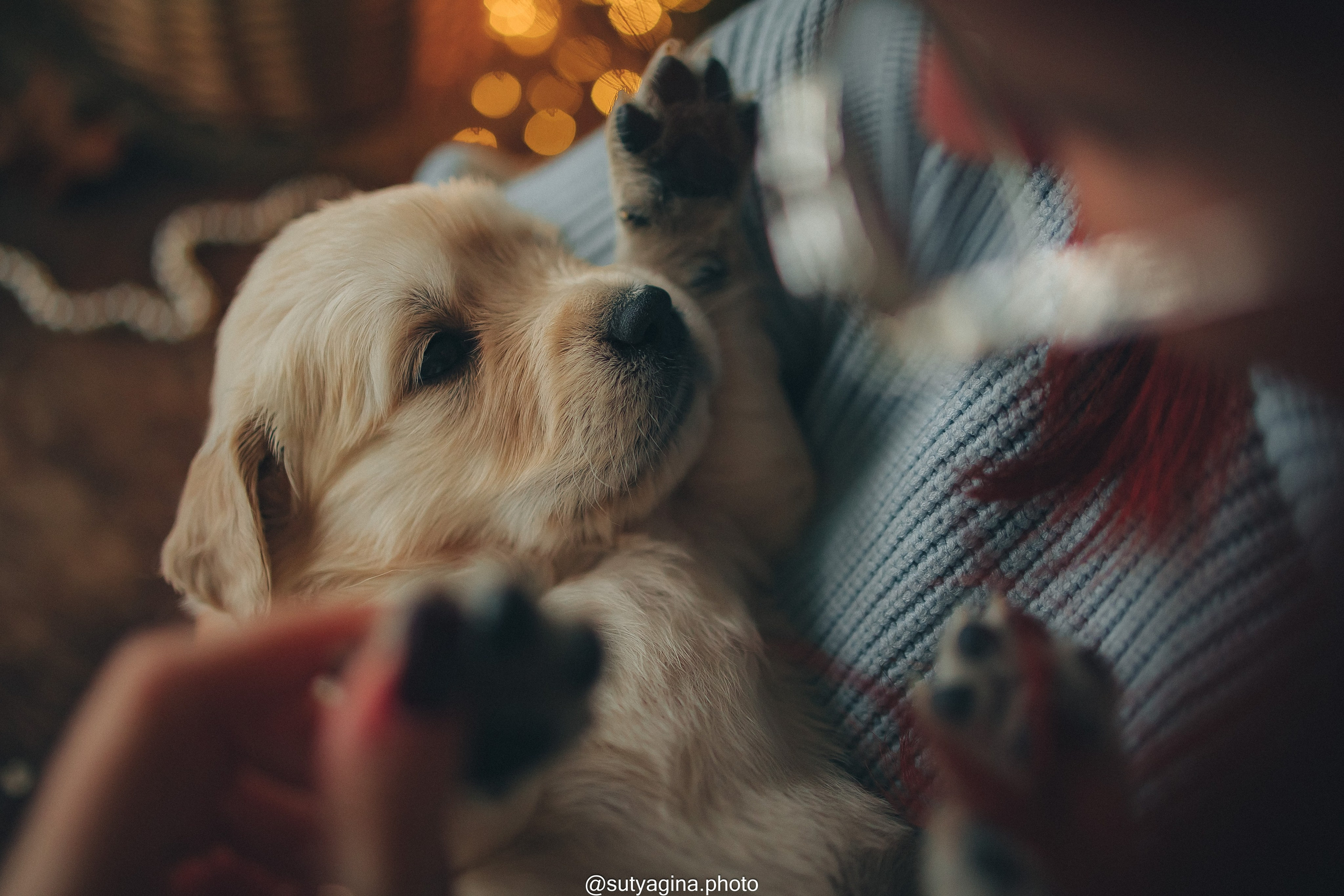 Фиолетовая лента. Свадебный и женский фотограф