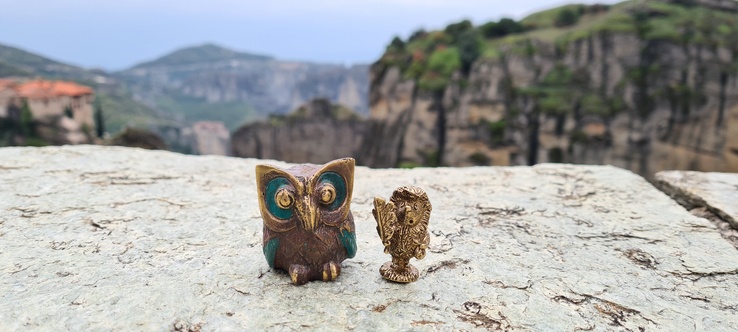 Ёжик и сова. Фотографии