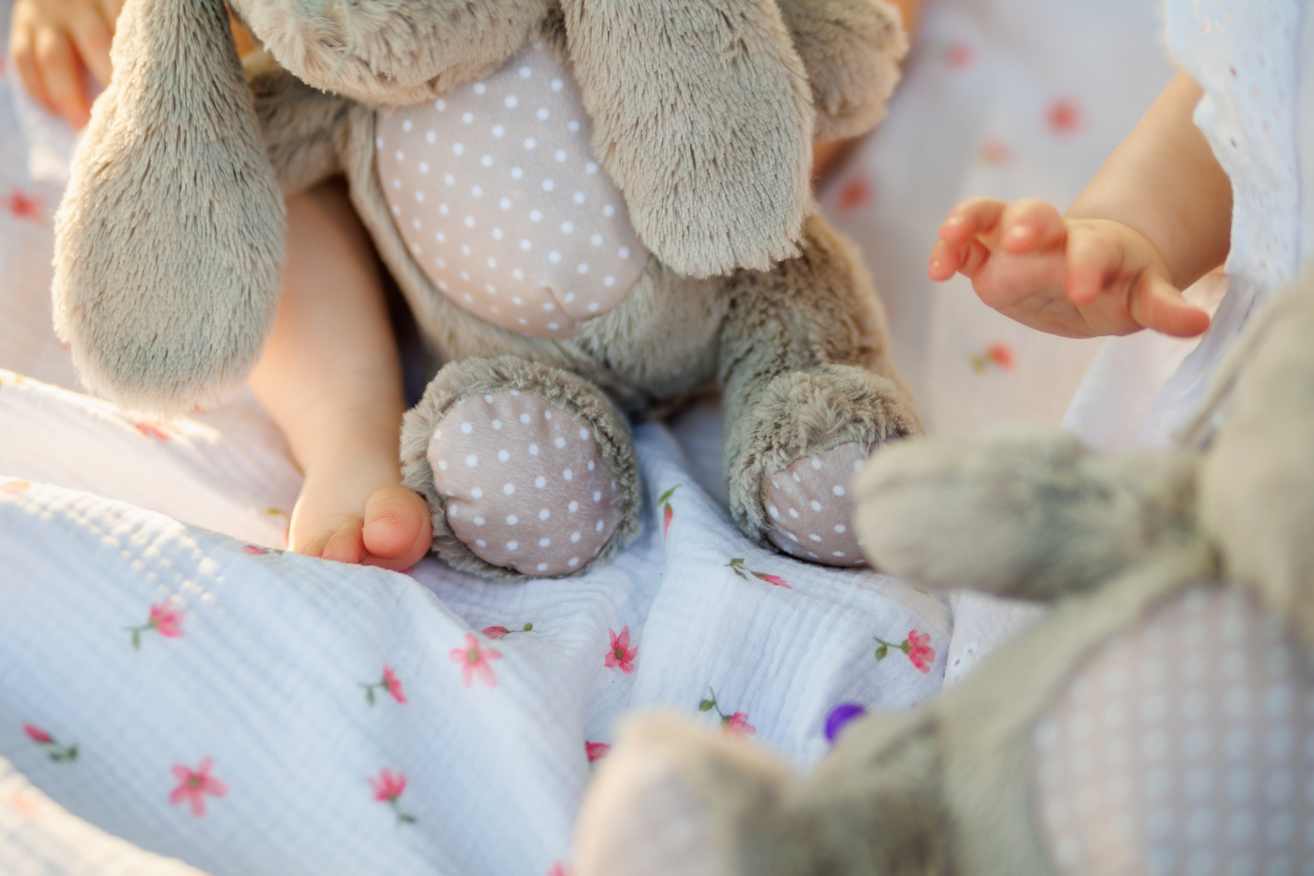 Прогулка на природе. Свадебный и семейный фотограф в Армавире