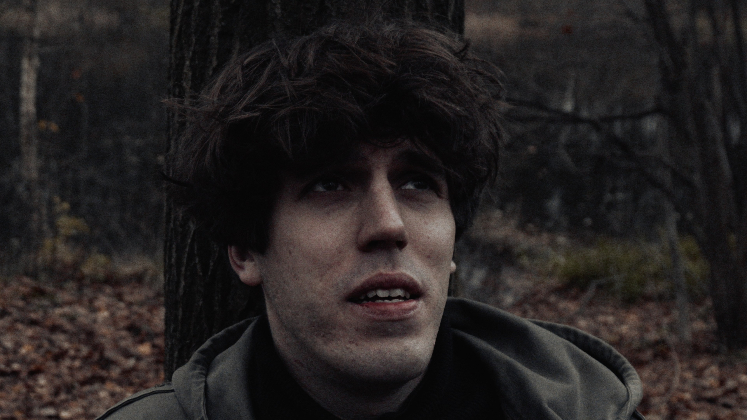 S.t.a.l.k.e.r. andrey — Реж. Тресков Александр, Леонид Соловьев, Георгий Трипута (Short Film). Колорист Евегений Воронин