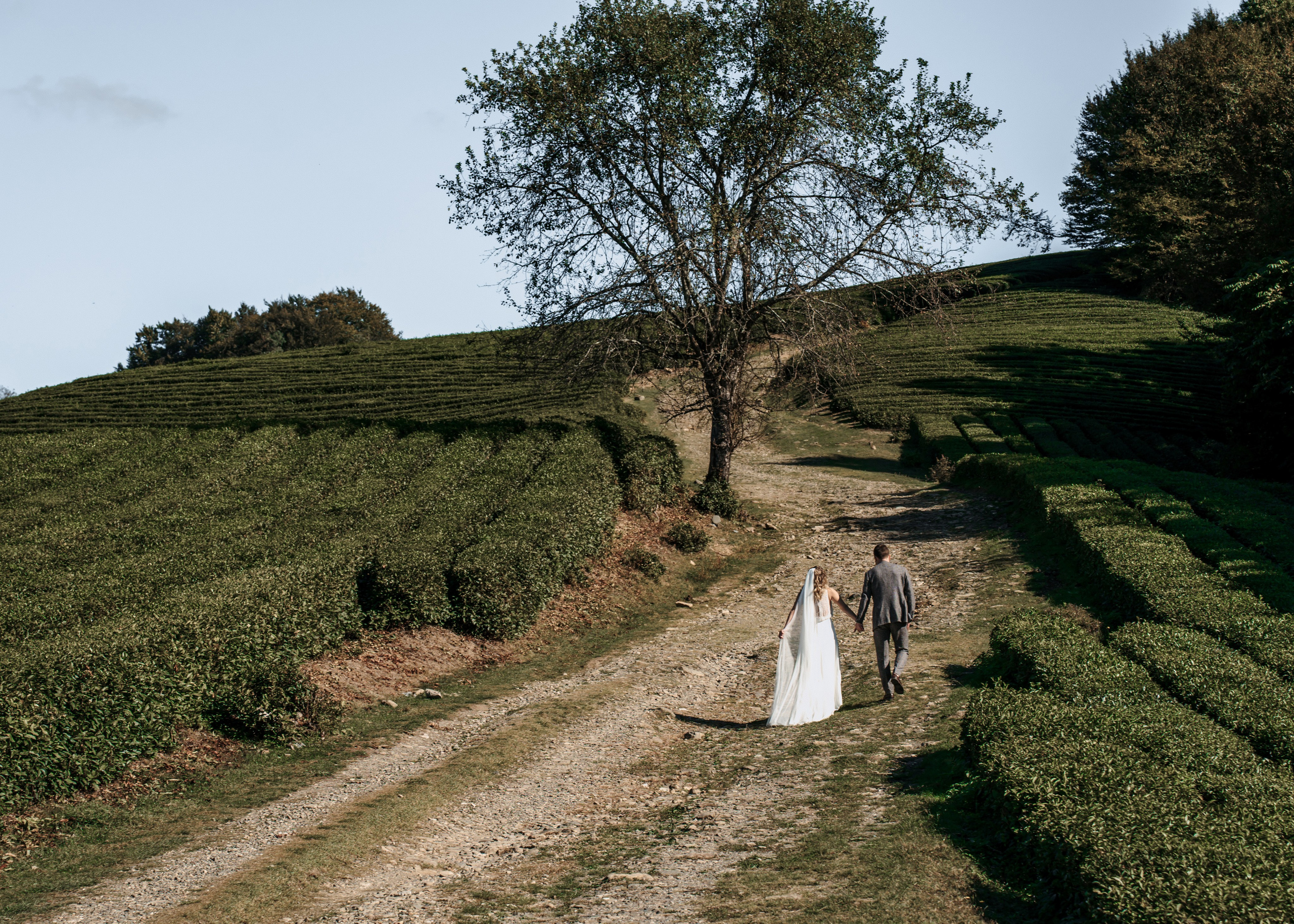 Свадебная фотосессия на море и в горах в Сочи. Алина Бернд — свадебный и индивидуальный фотограф в Сочи и Адлере