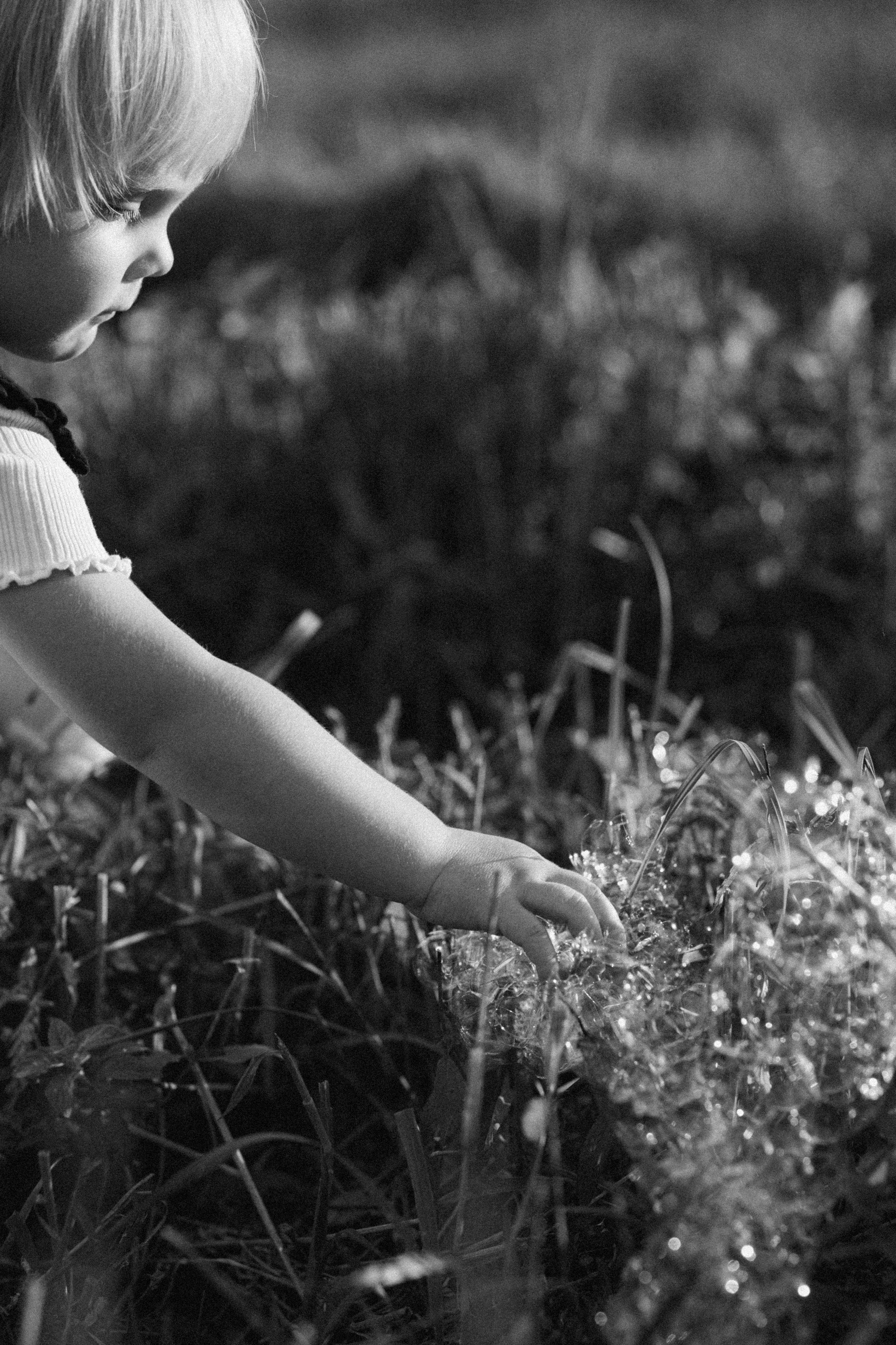 ДУБЫ. Cheta Kovalevsky фотографы