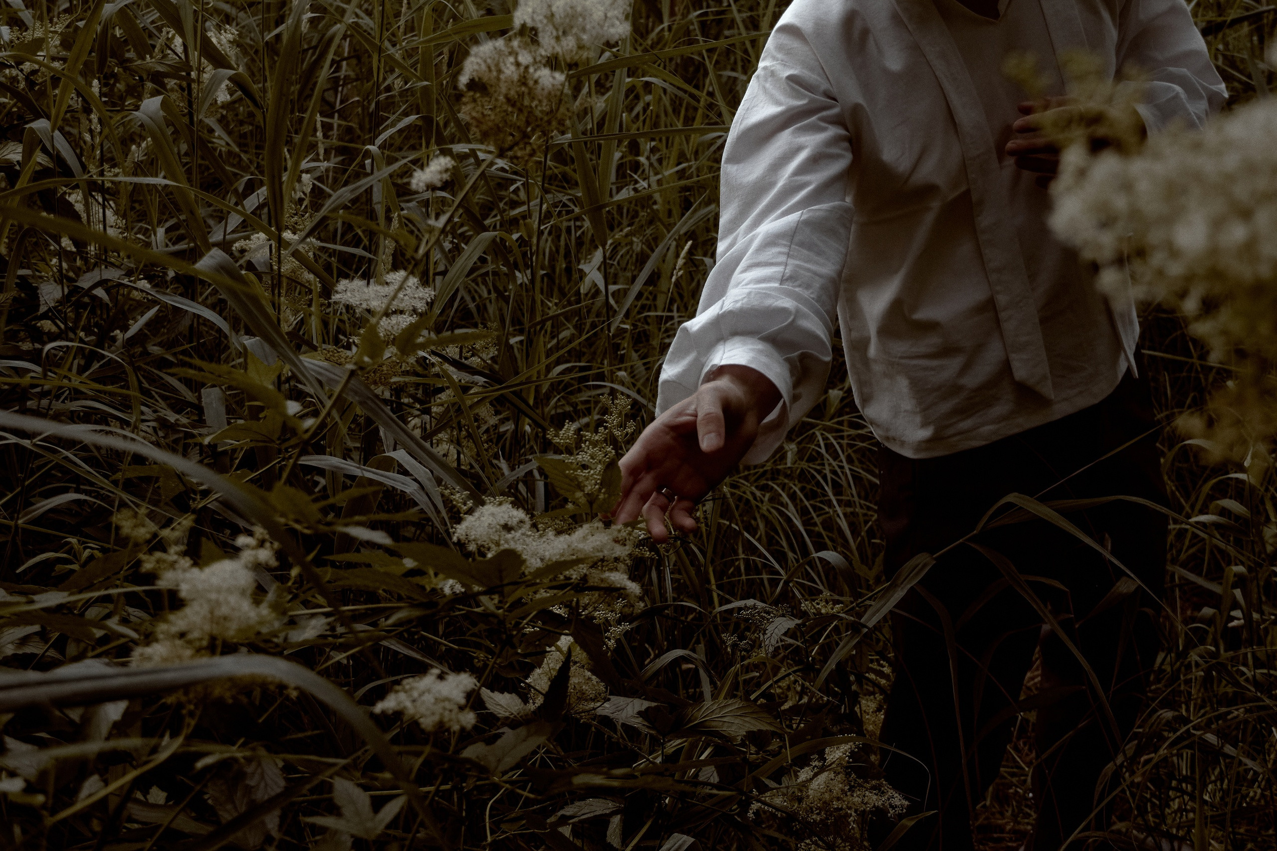 Принц. Фотограф лавстори Москва/МО Приятелева Ангелина