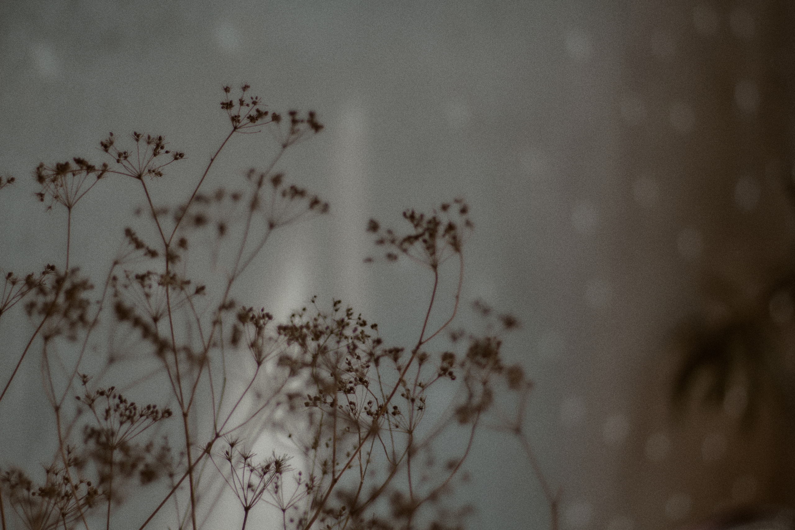 Ангел и демон. Фотограф лавстори Москва/МО Приятелева Ангелина