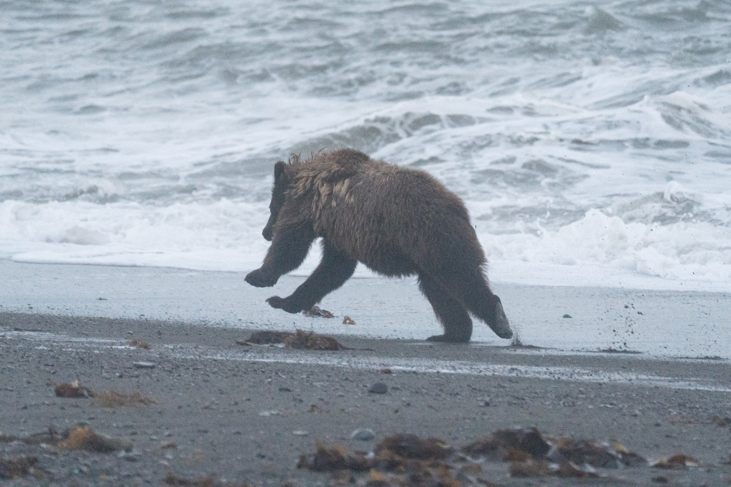 Чукотка. Gusarov Travel Photography