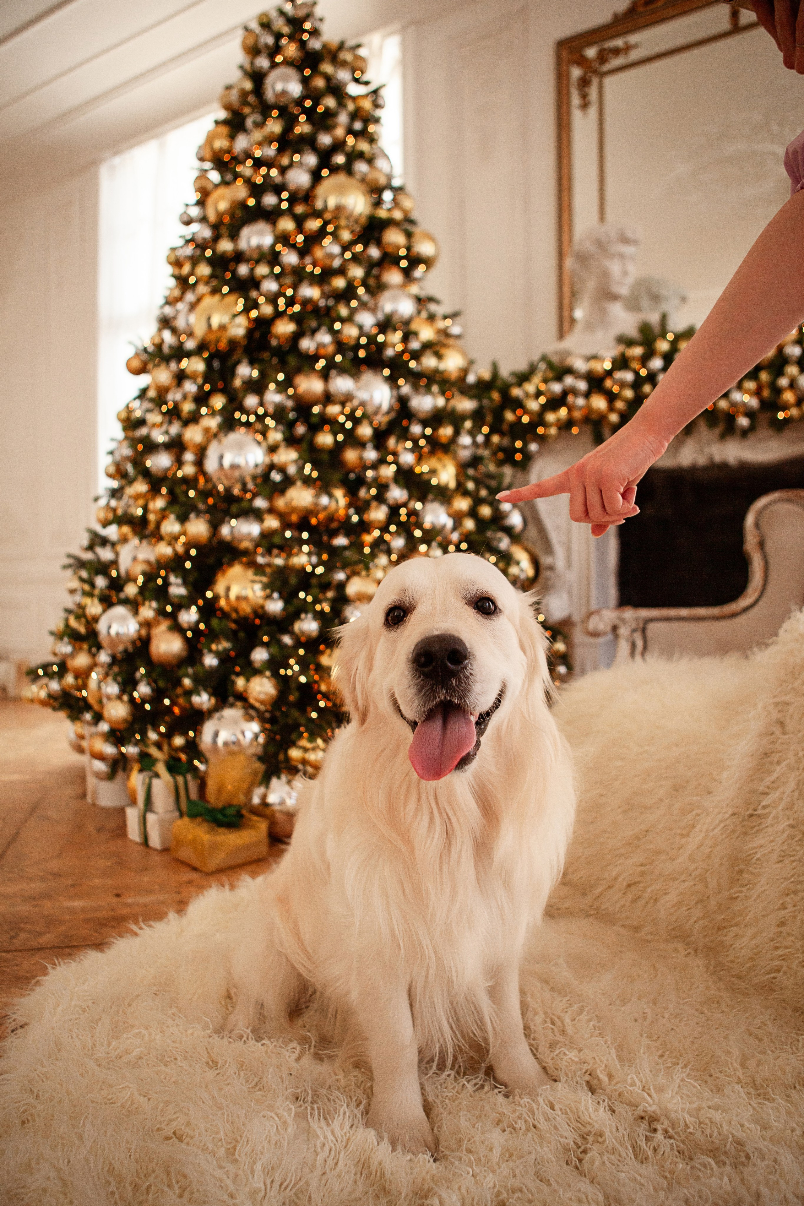 Владислава. Свадебный фотограф в СПБ | Санкт-Петербурге Анастасия Рахимгулова