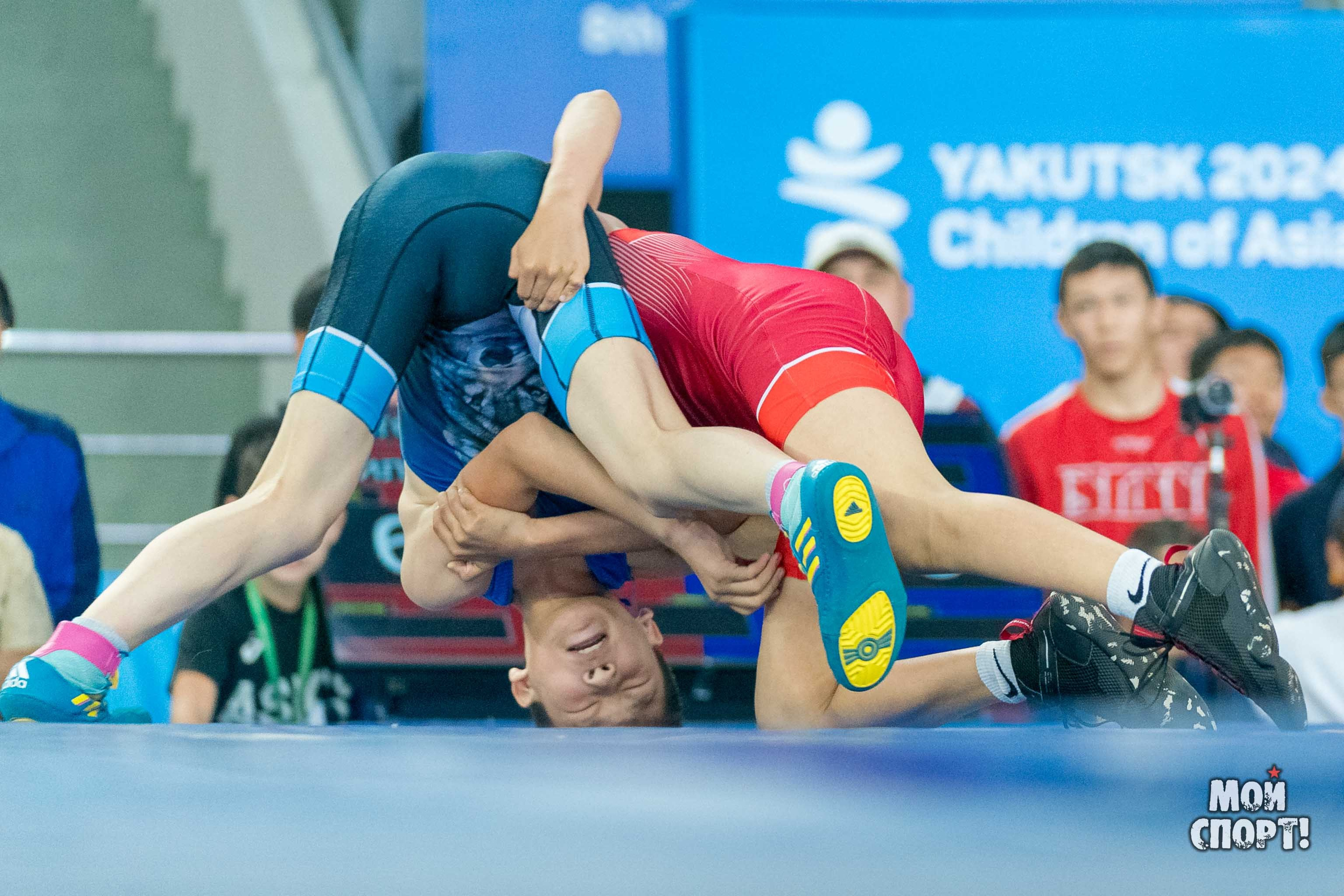 Соревнования по вольной борьбе в честь П. П. Пинигина. Студия «Мой Спорт!» — все о спорте в Якутии