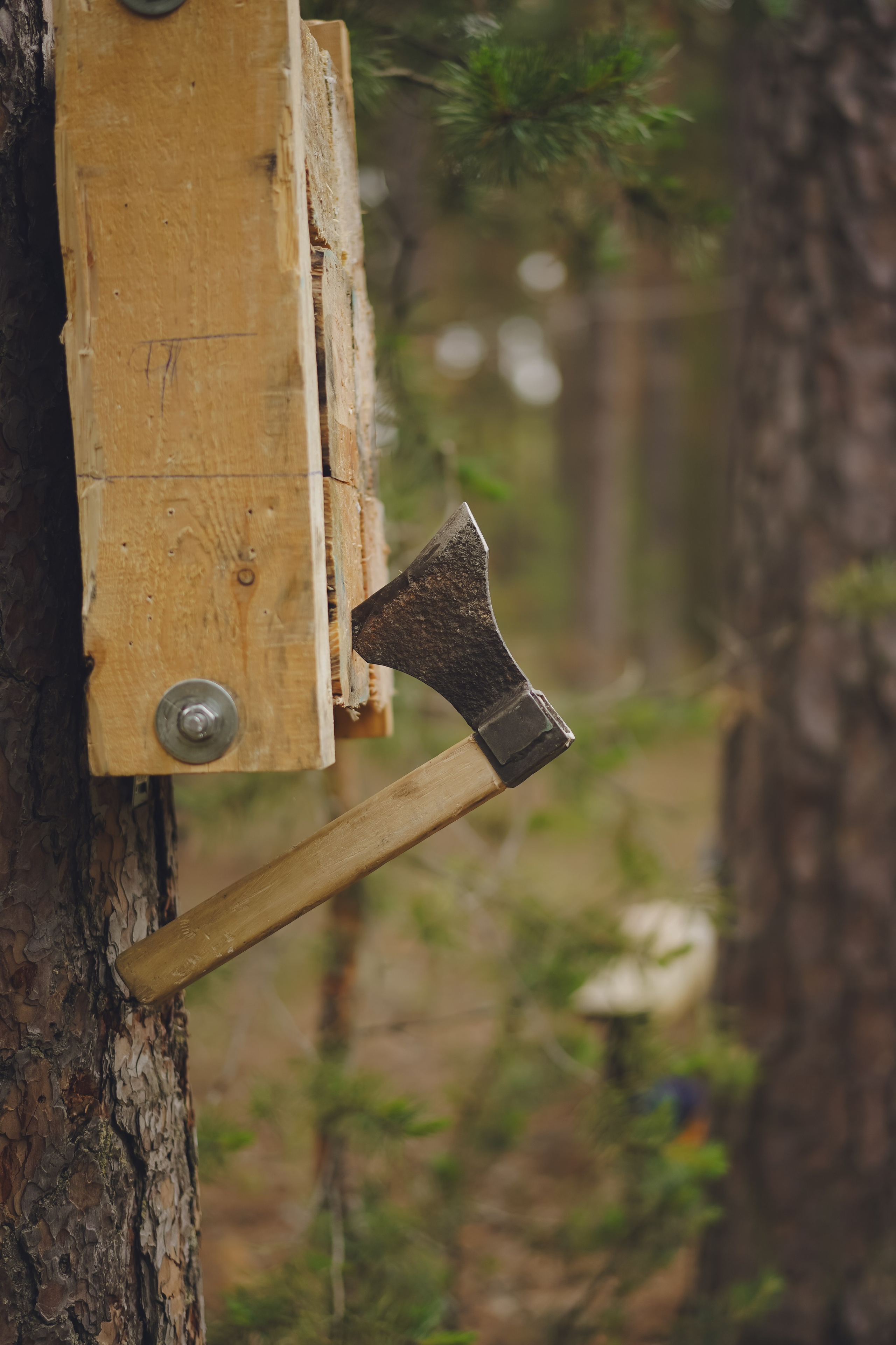 Палаточный форум CAMPot 2025. Фотограф Надежда Погребняк | Рязань | Москва