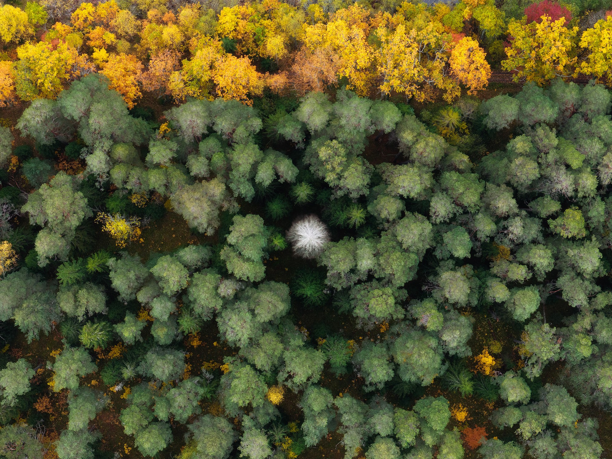 Остров Валаам. Архитектурный и пейзажный фотограф Кондратенко Руслан, Санкт-Петербург