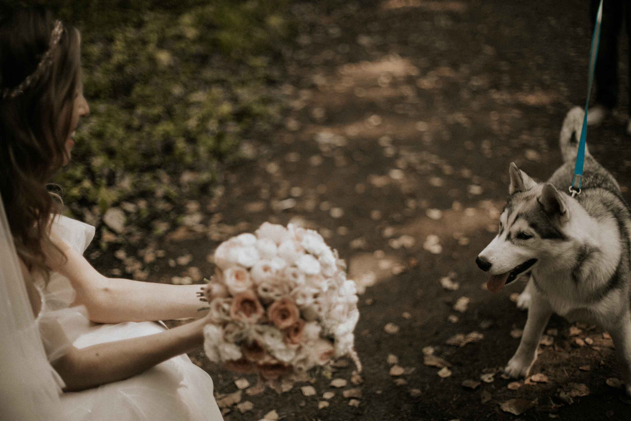 S & I. Свадебный фотограф в Москве Влад Бойцов