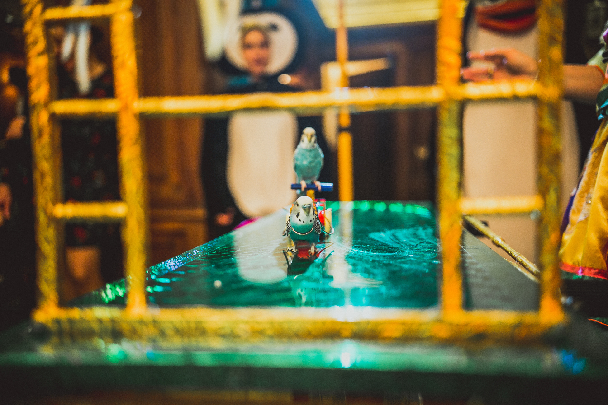 Ресторан Пушкин. Детский день рожденья. Свадебный фотограф в Москве Влад Бойцов