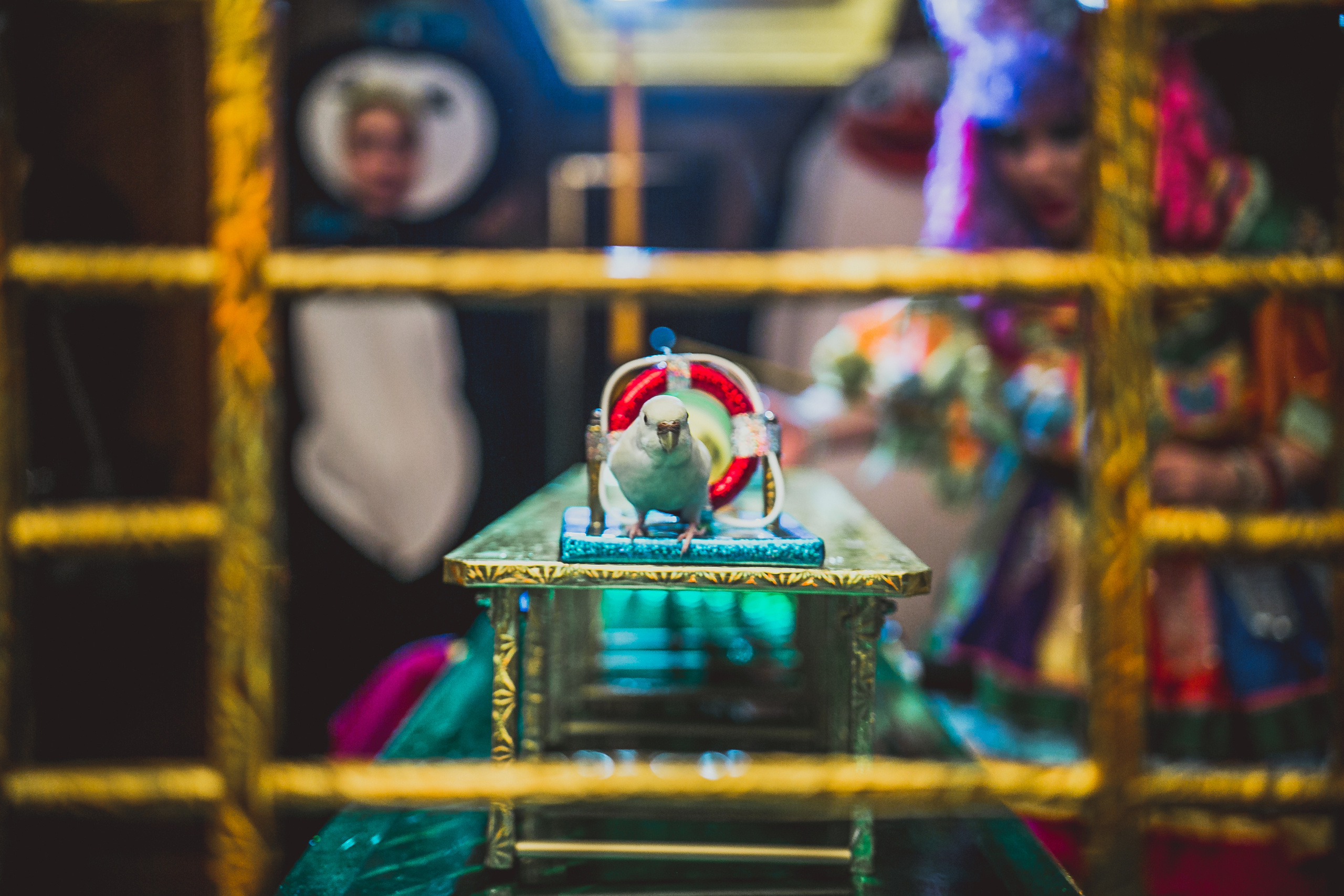 Ресторан Пушкин. Детский день рожденья. Свадебный фотограф в Москве Влад Бойцов