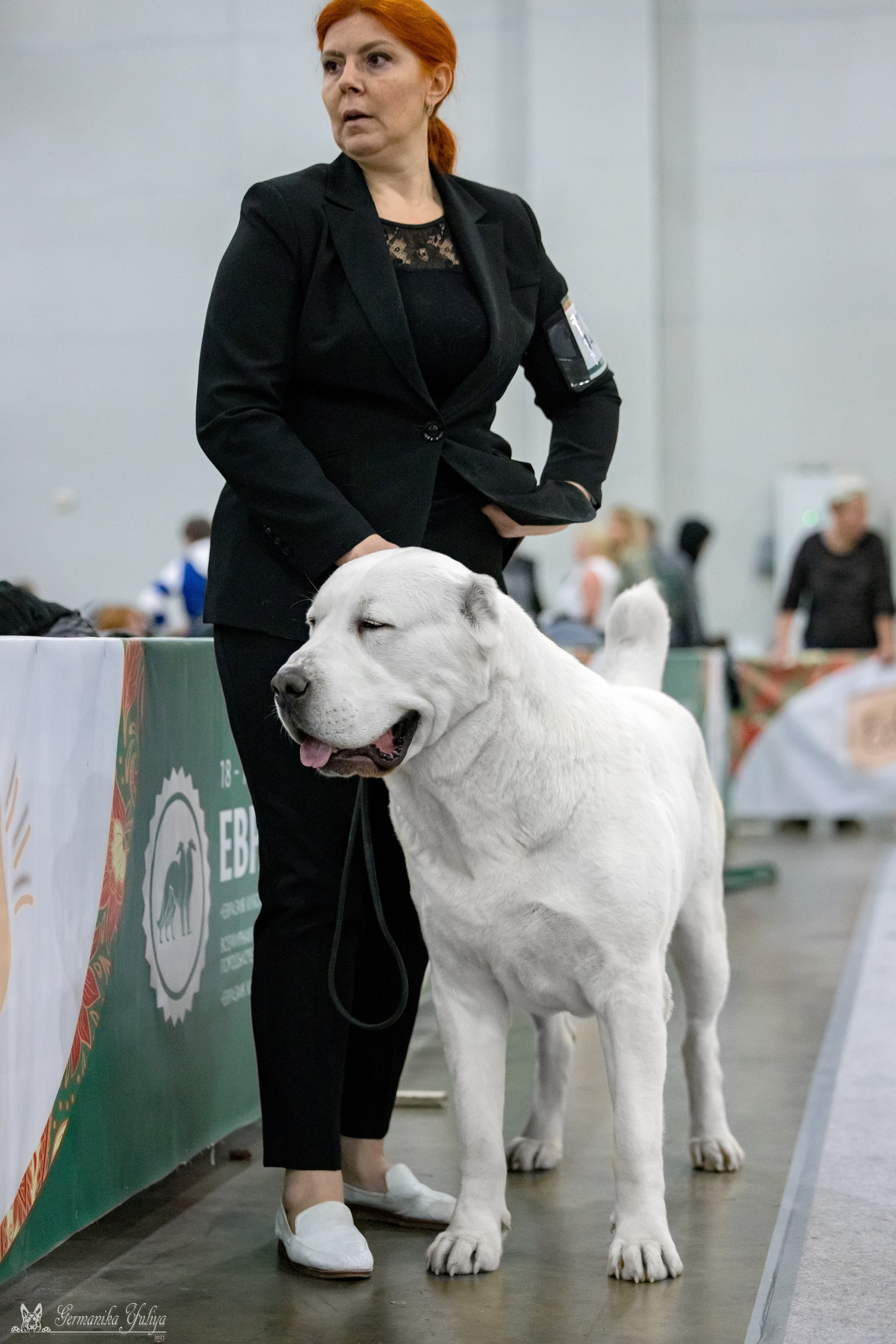 ЕВРАЗИЯ 18-19.11.2023. Фотограф-анималист Юлия Германика