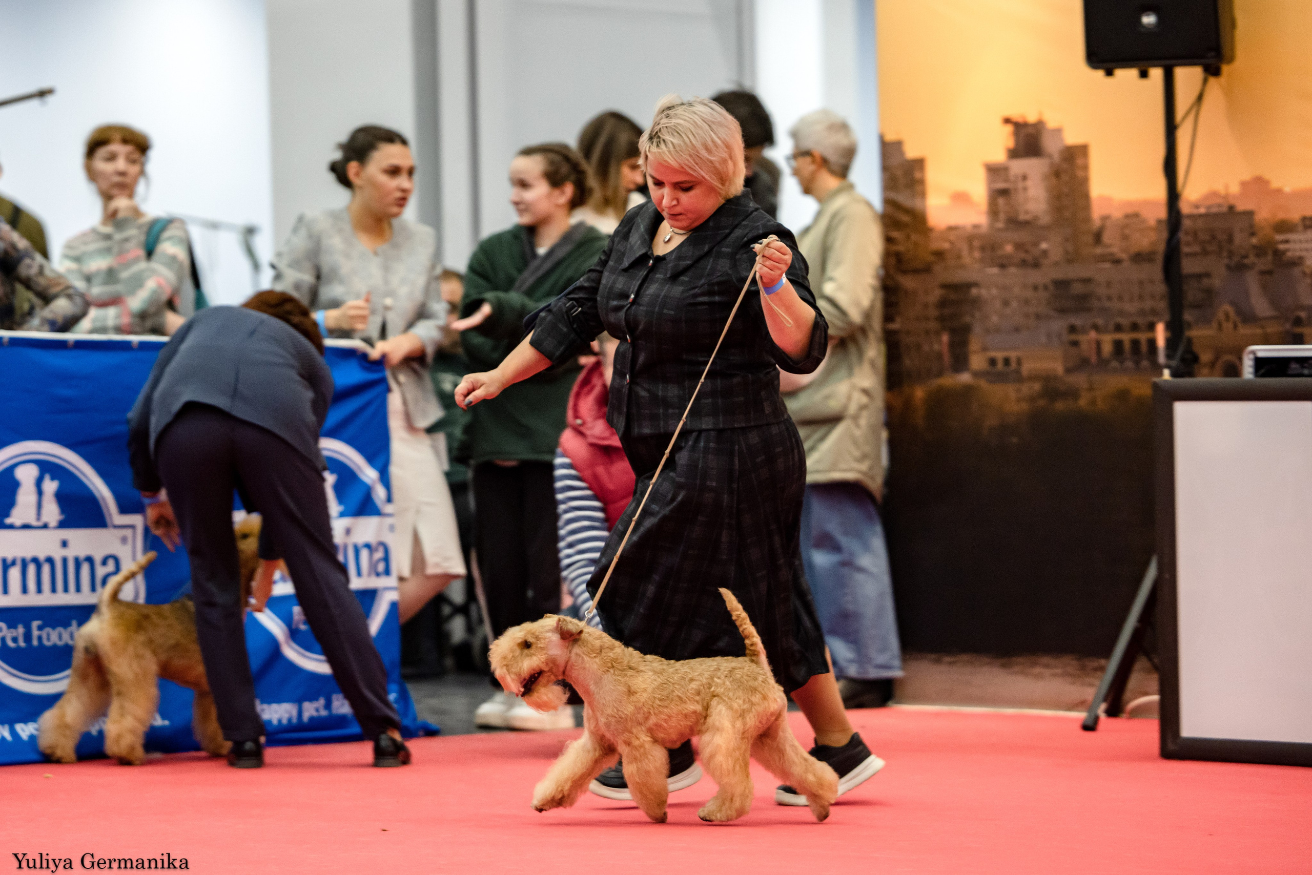 Нижний Новгород 21-22.10.2023. Фотограф-анималист Юлия Германика