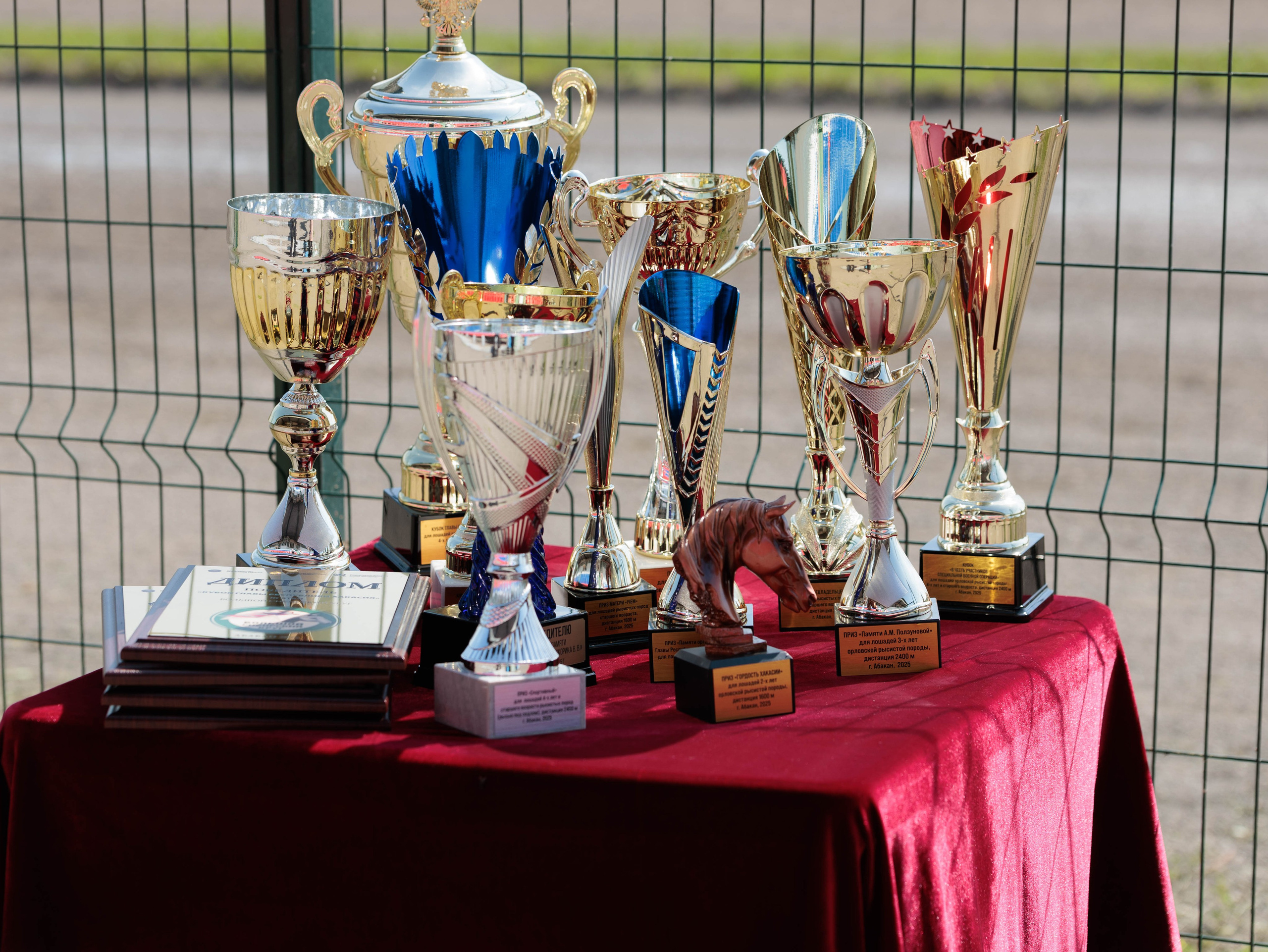 Зарисовки Абаканский ипподром 2025. Конный фотограф в Красноярске — Любовь Похабова