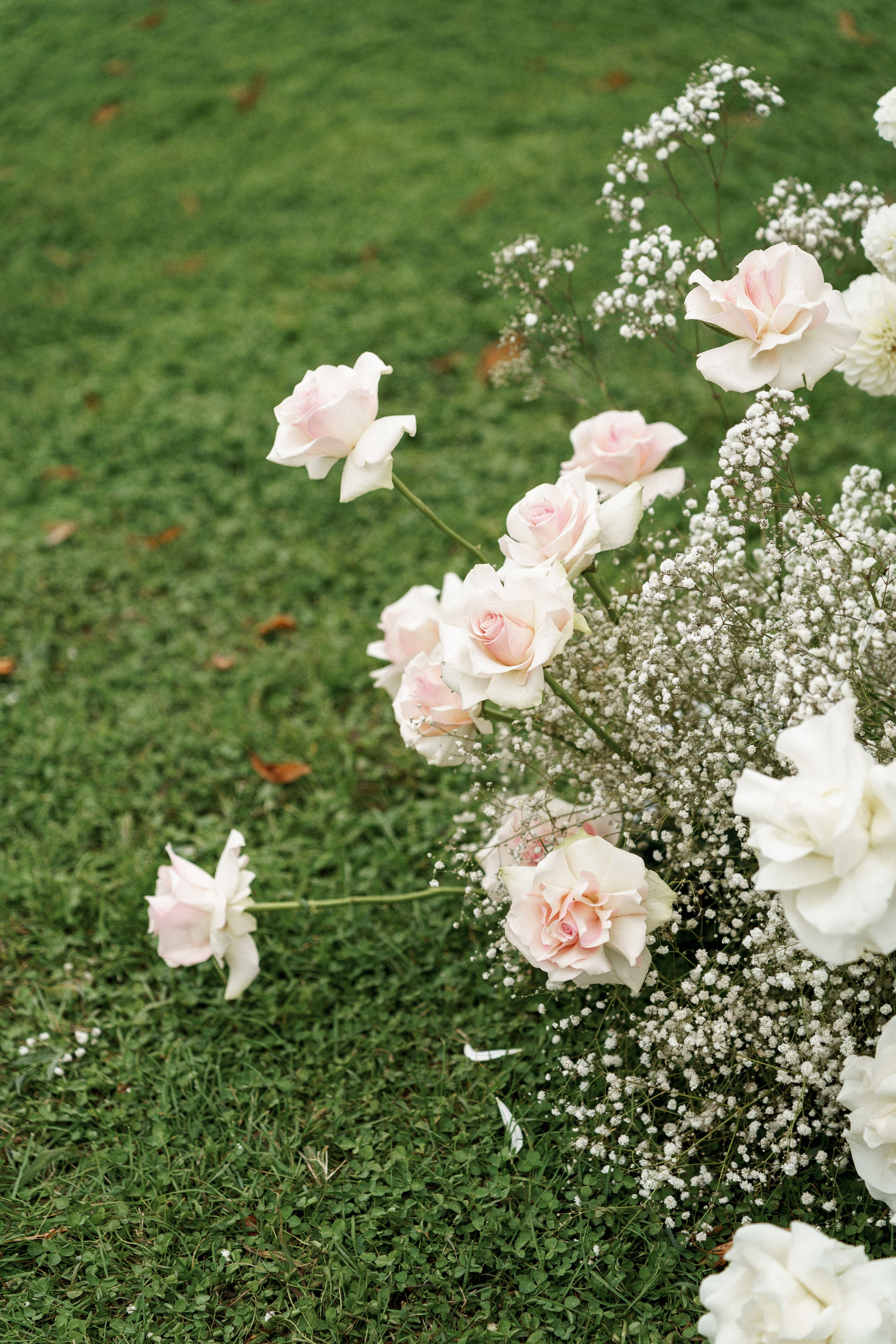 Кахетия: Алекс и Настя. Свадебный и индивидуальный фотограф Татьяна Гуляева