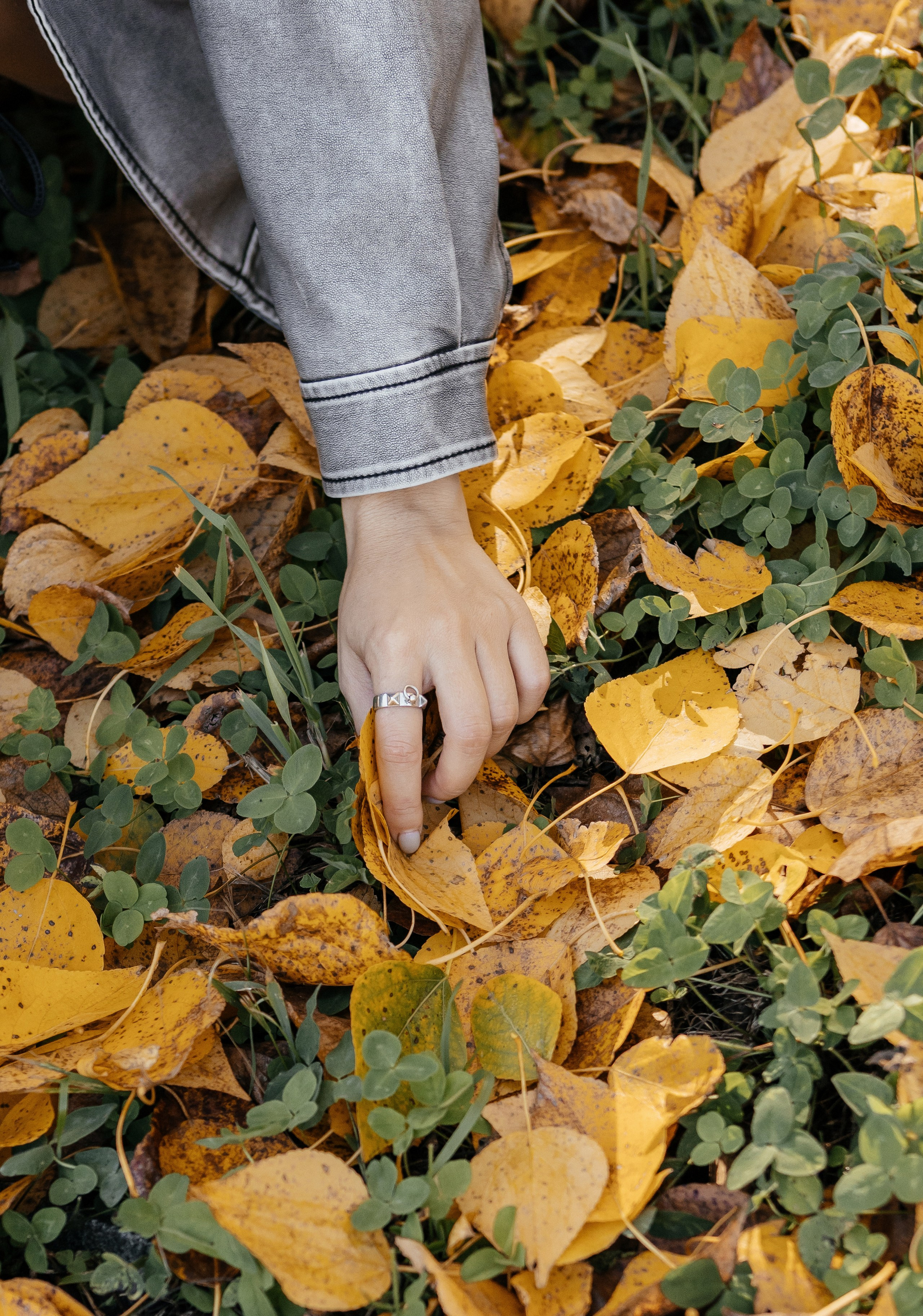Раиса. Фотограф Лесозаводск/Хабаровск