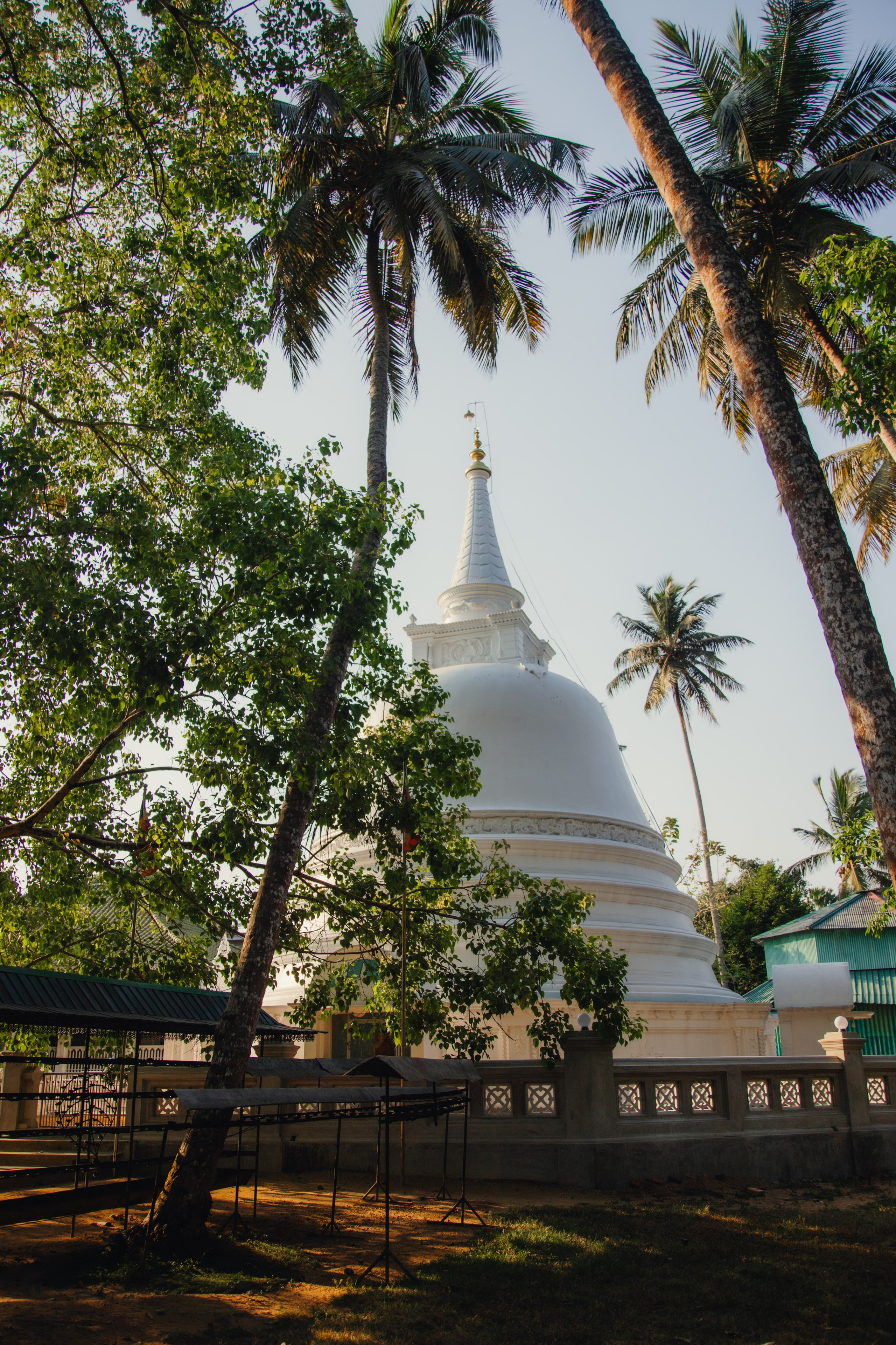 Шри-Ланка. Фотограф Юля Постнова